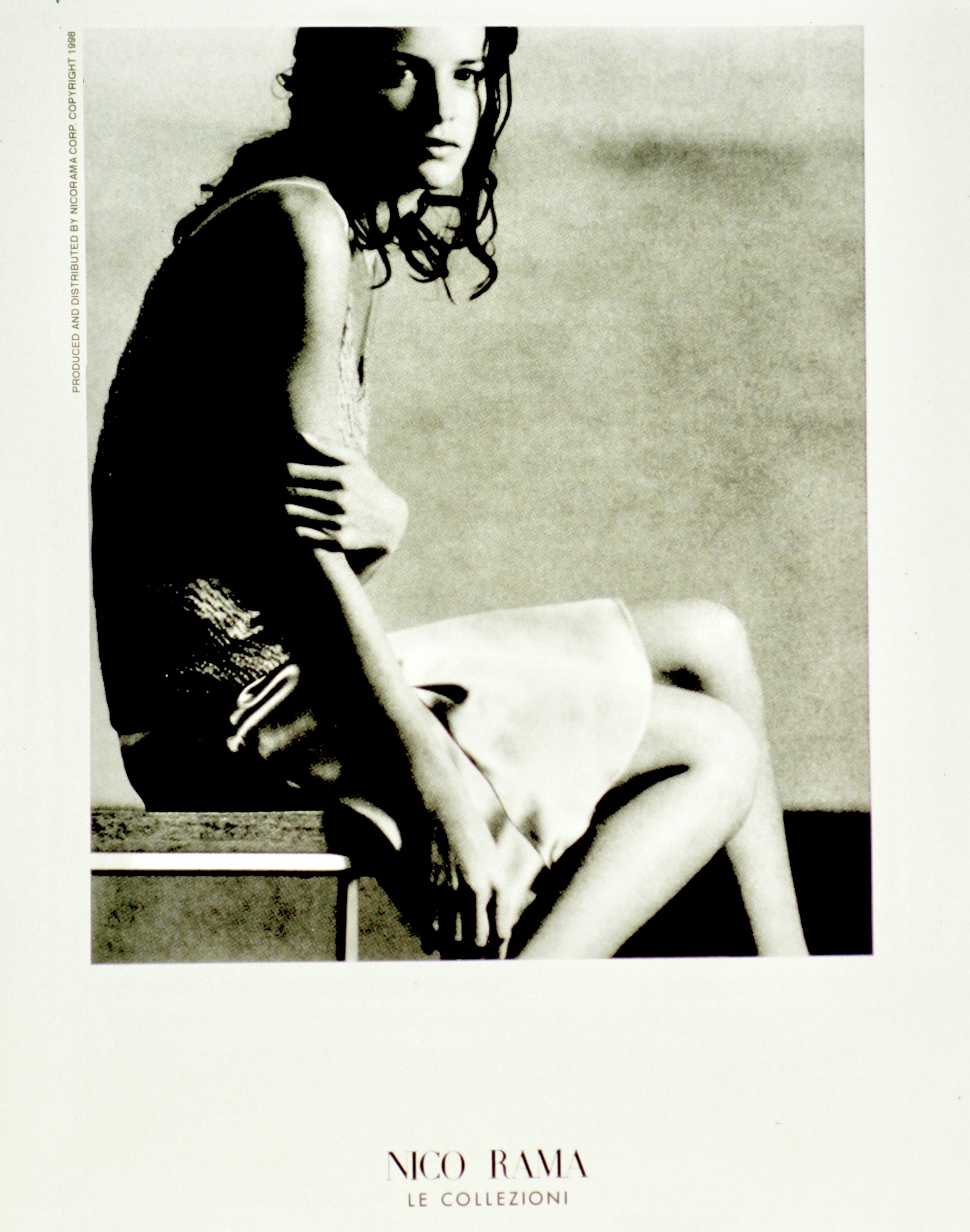  Nicorama logo 7 (1998):  Ink jet print, 10"x8"  