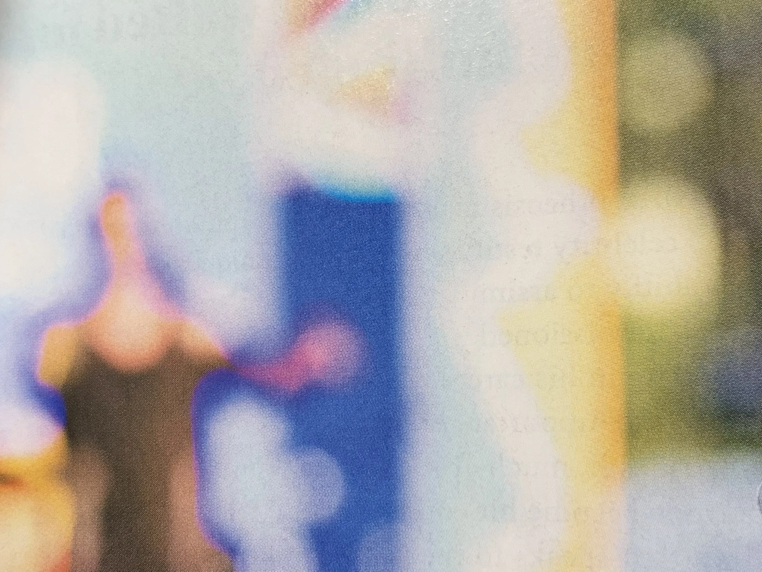  Vuillard 1 (2019):  Ink jet print, 40”x30”  