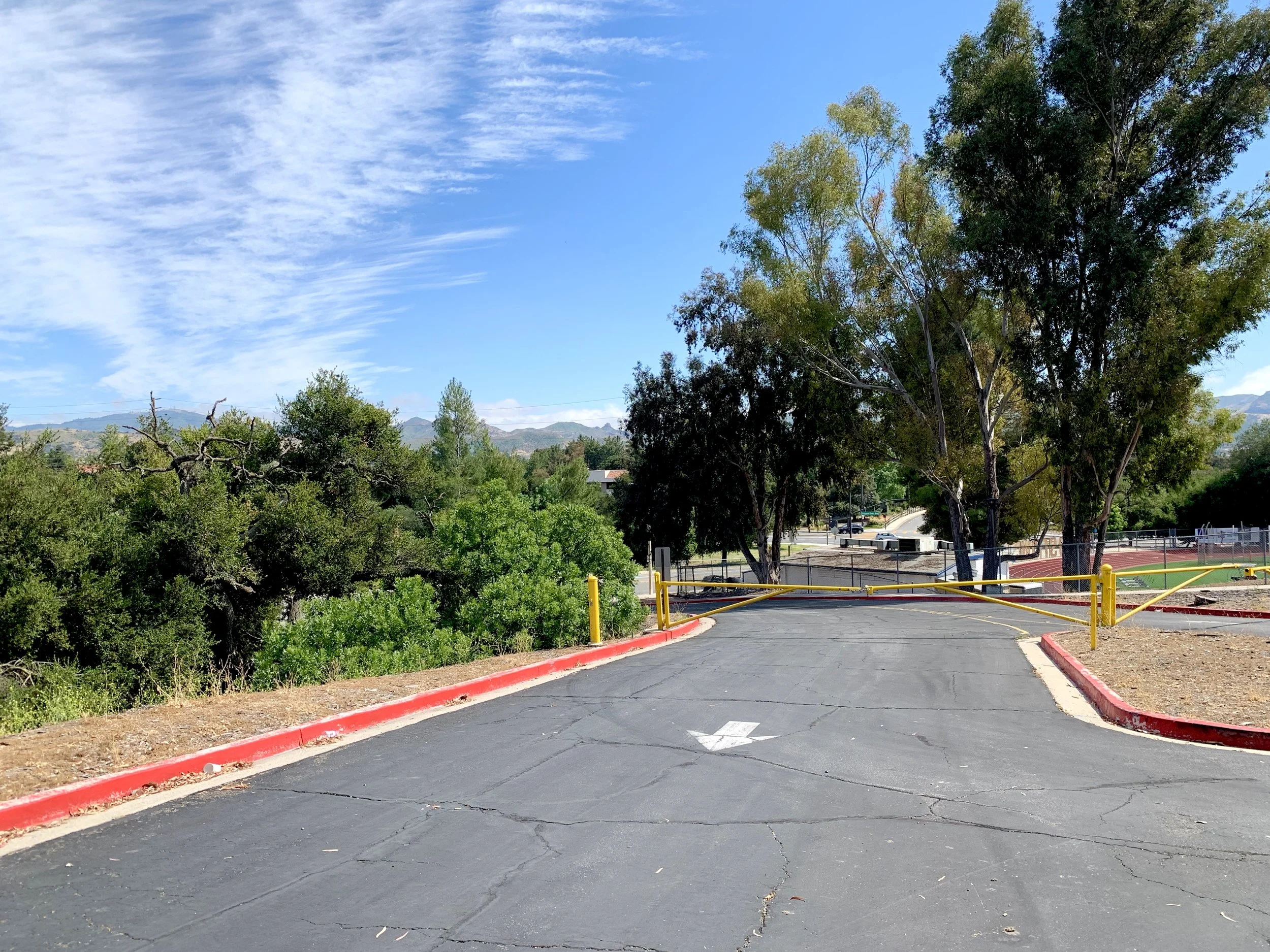  Sat Sat 5 (2020):  Ink jet print, 40”x30”  