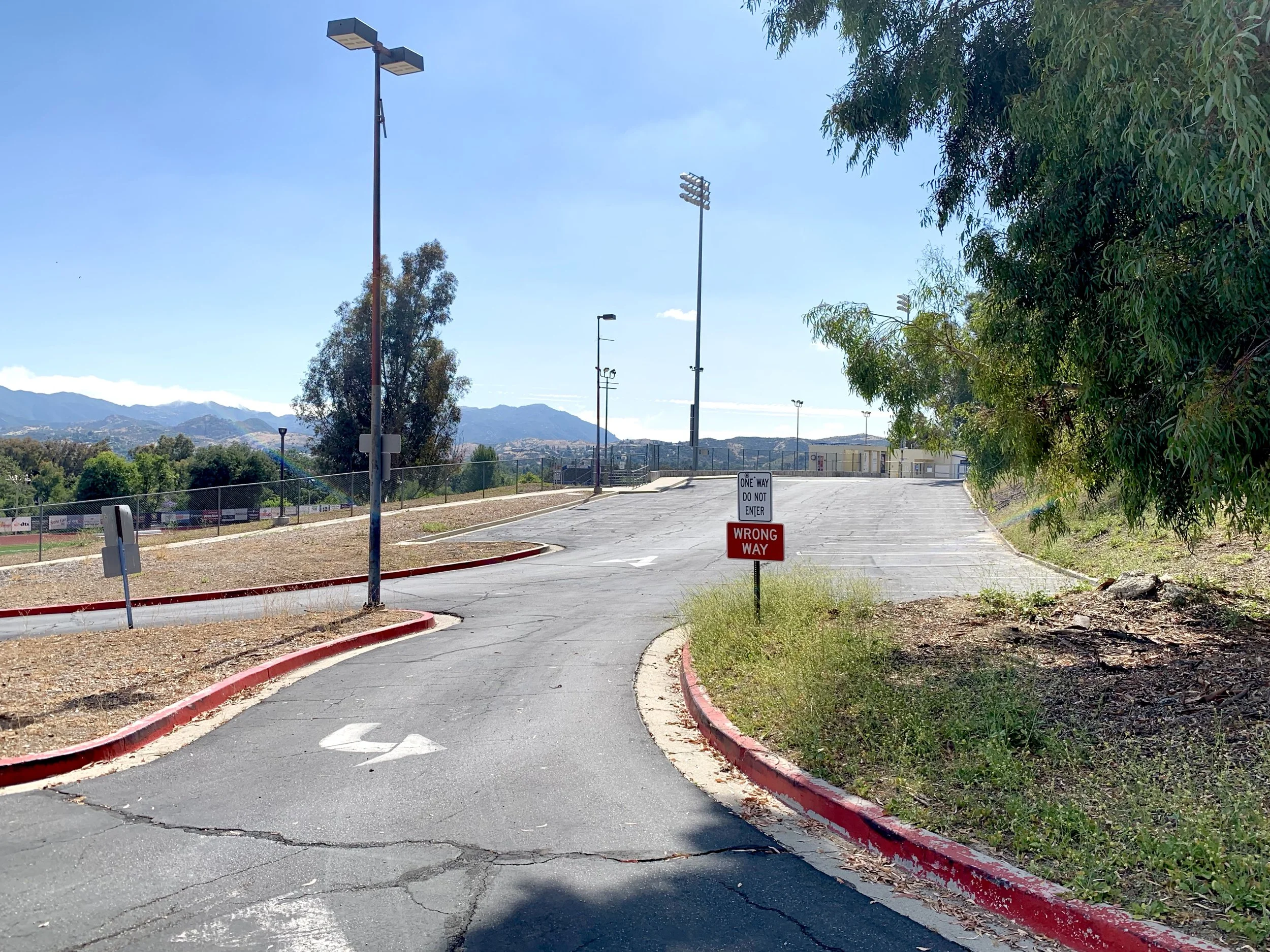  Sat Sat 6 (2020):  Ink jet print, 40”x30”  