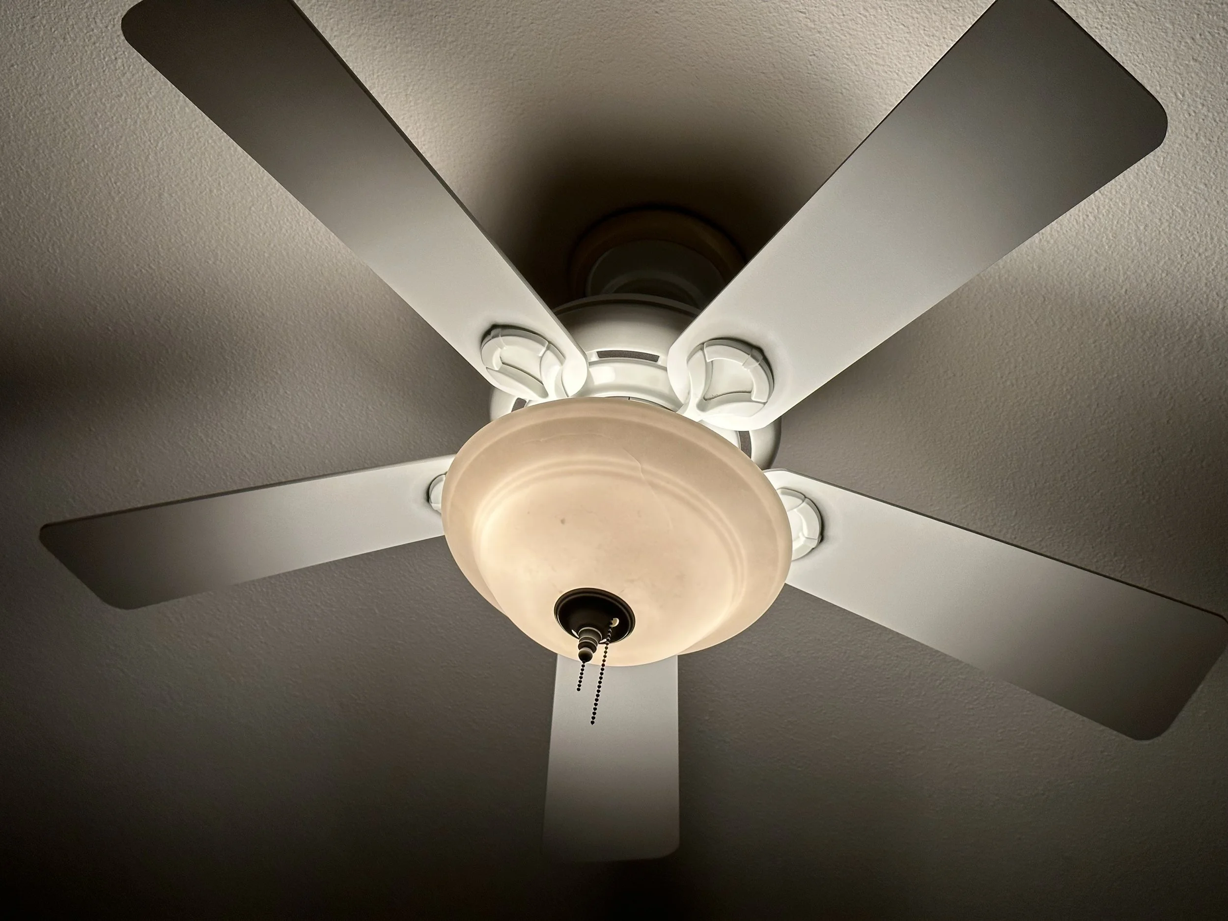  Willard (2022):  Ink jet print, 30”x40”   