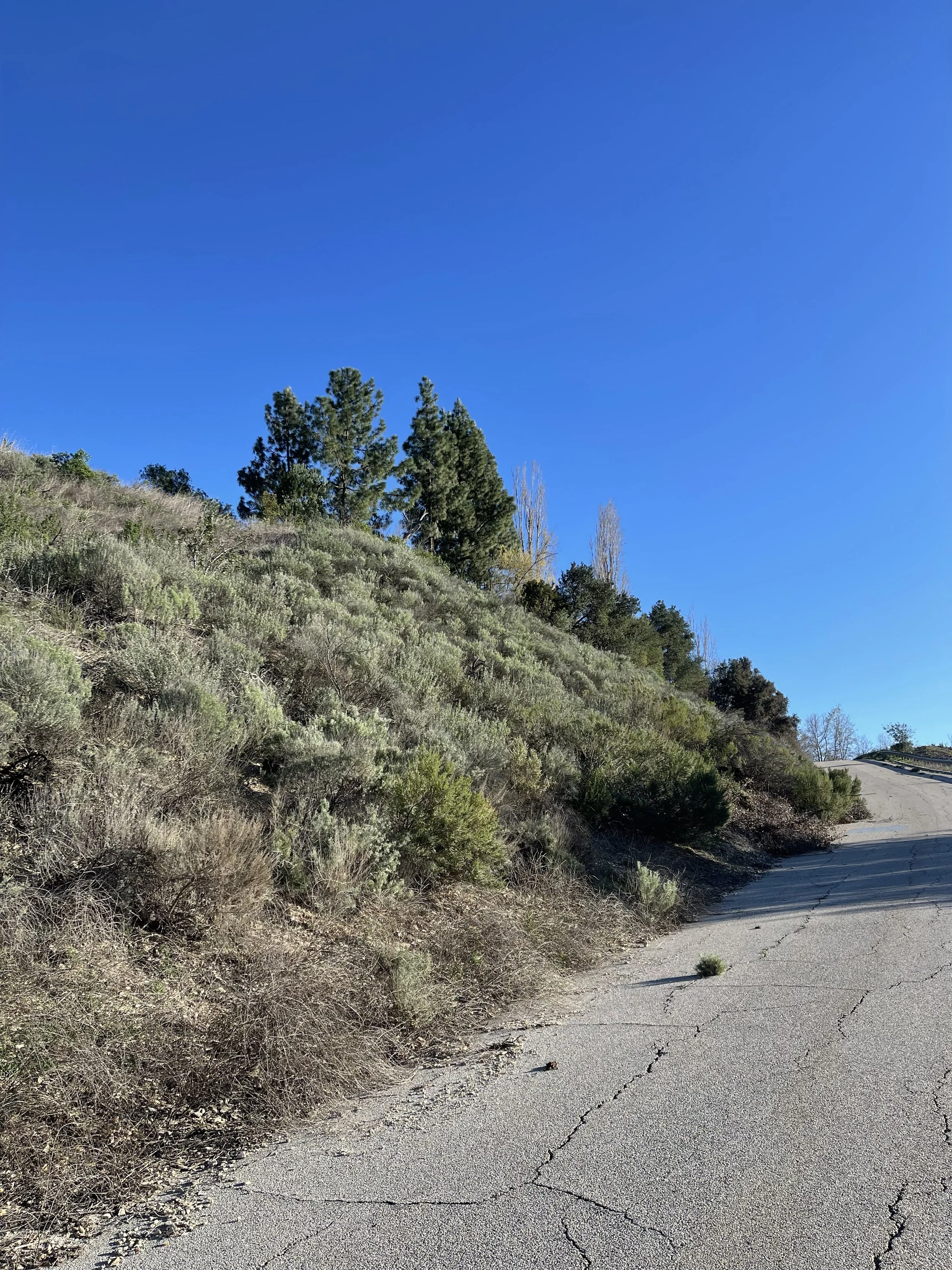  Blue Green 2 (2022):  Ink jet print, 30”x40”   