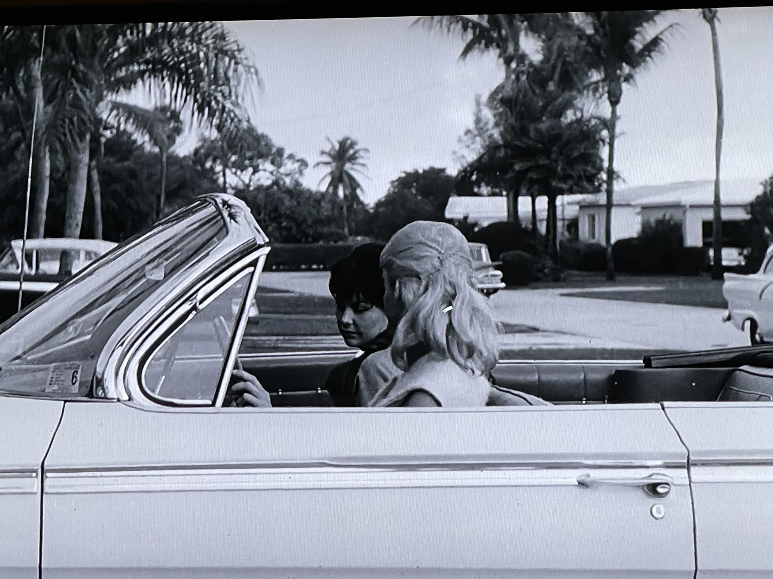  Looking to the Side (2022):  Ink jet print, 30”x40”   