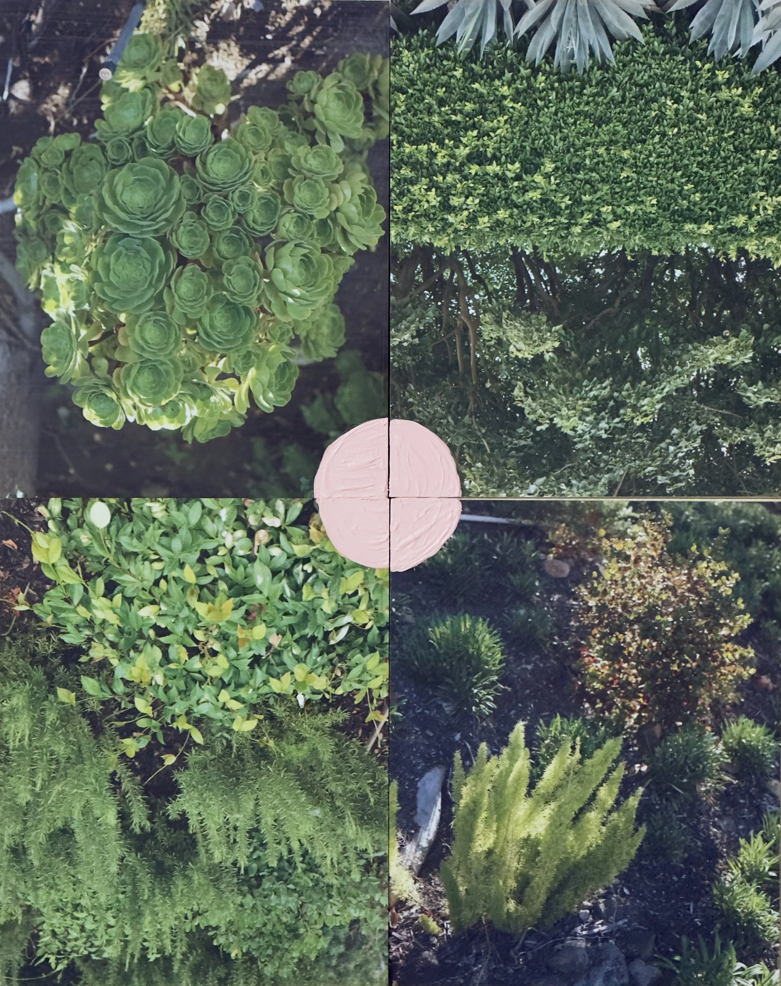  John, John, John > 2023P11 (2023) Acrylic and Inkjet Print on Panel, (4) 8”x10” > Total 16”x20” 