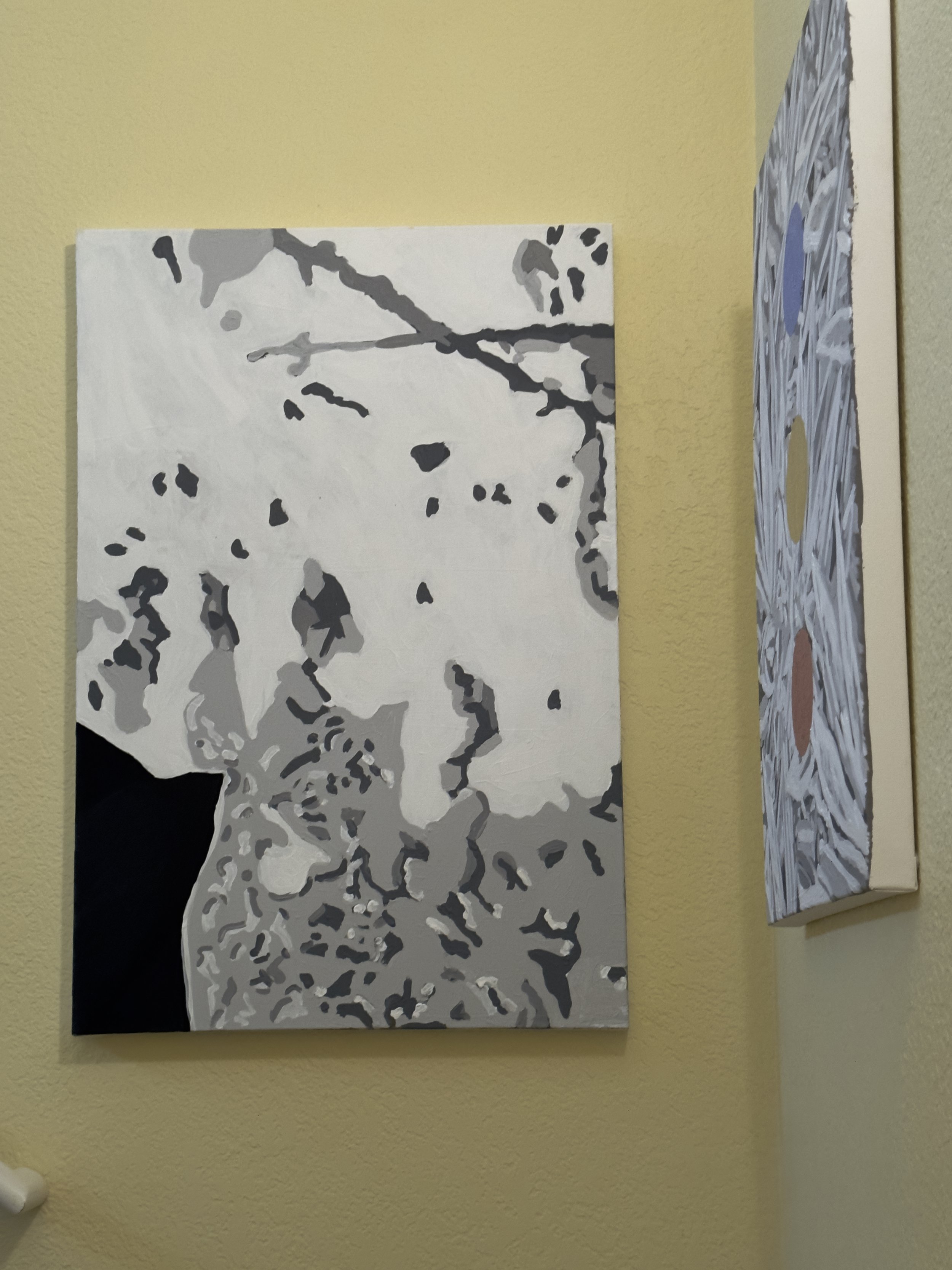  Installation view (2023) 