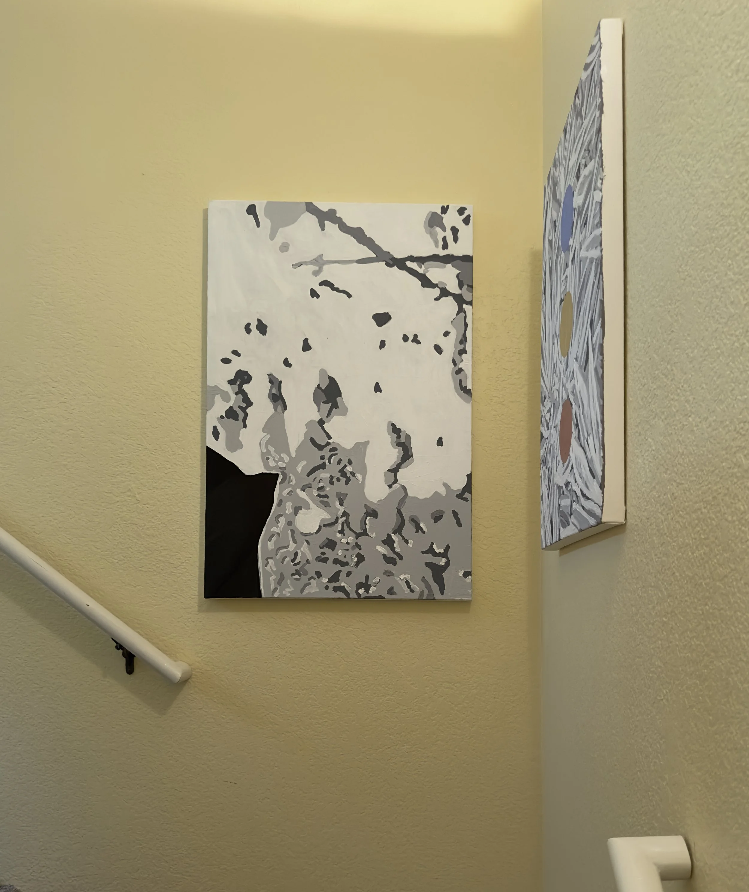  Installation view (2023) 