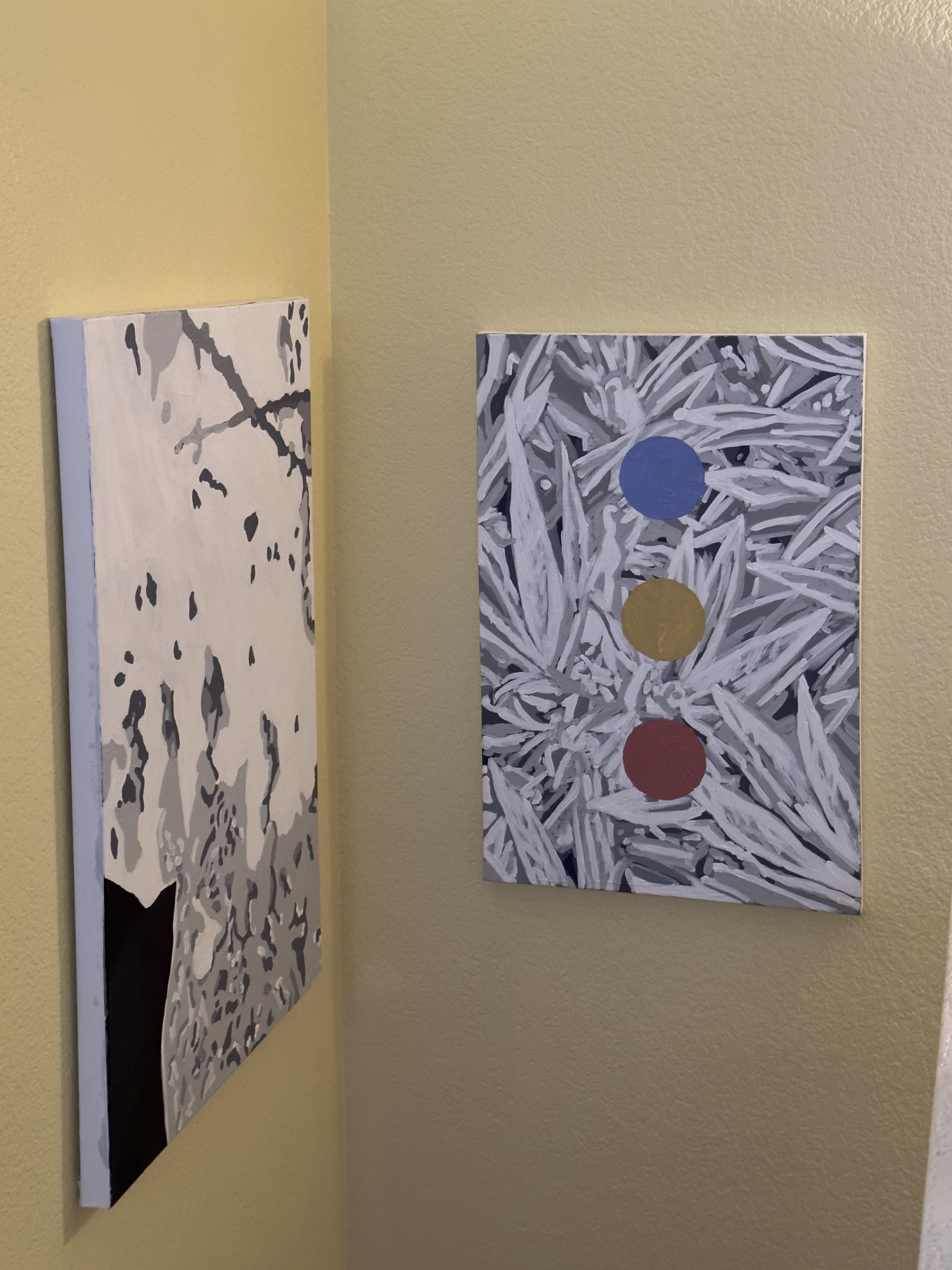  Installation view (2023) 