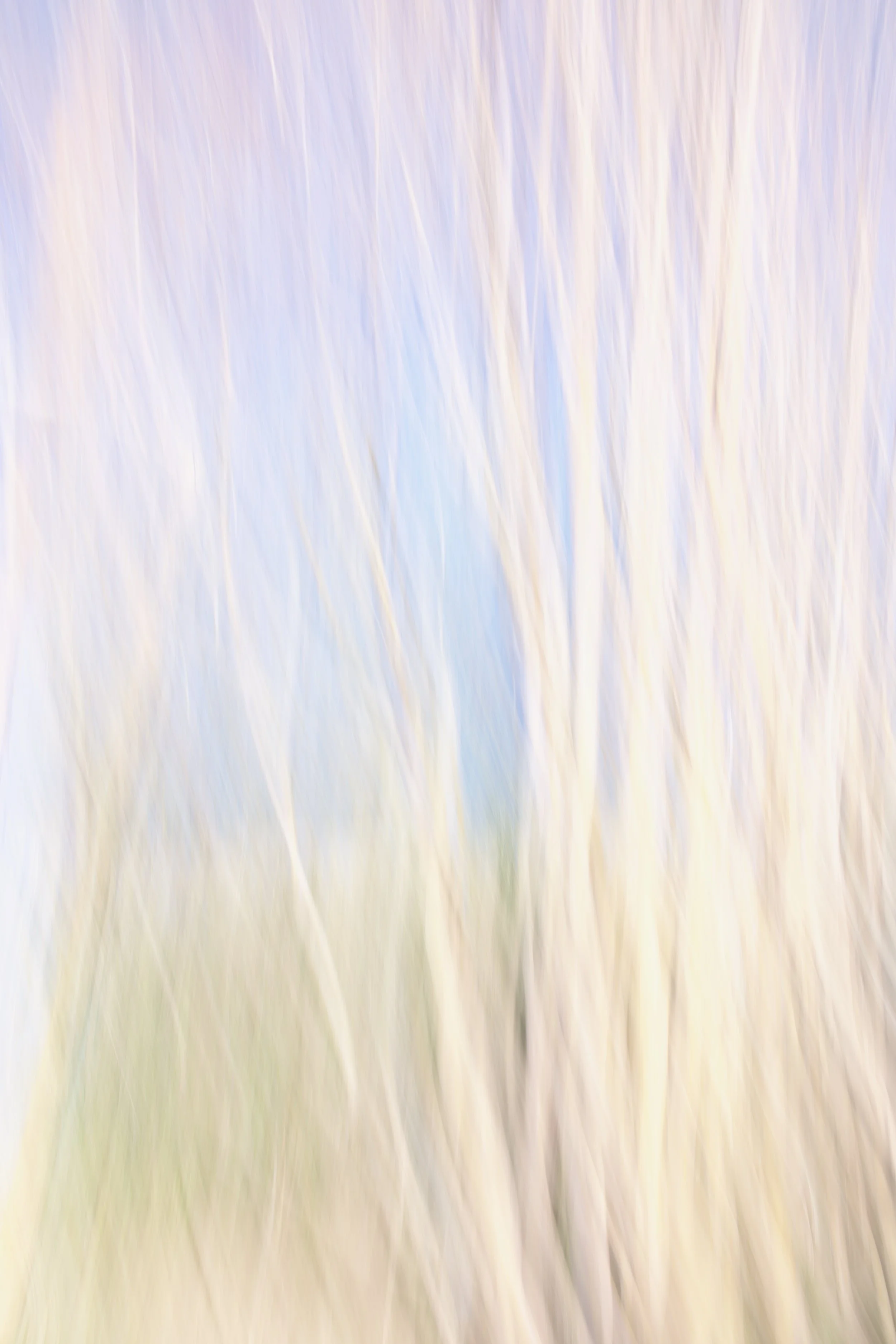  Movement 2023:3 (2023) C-print on wood panel, 60”x40” 