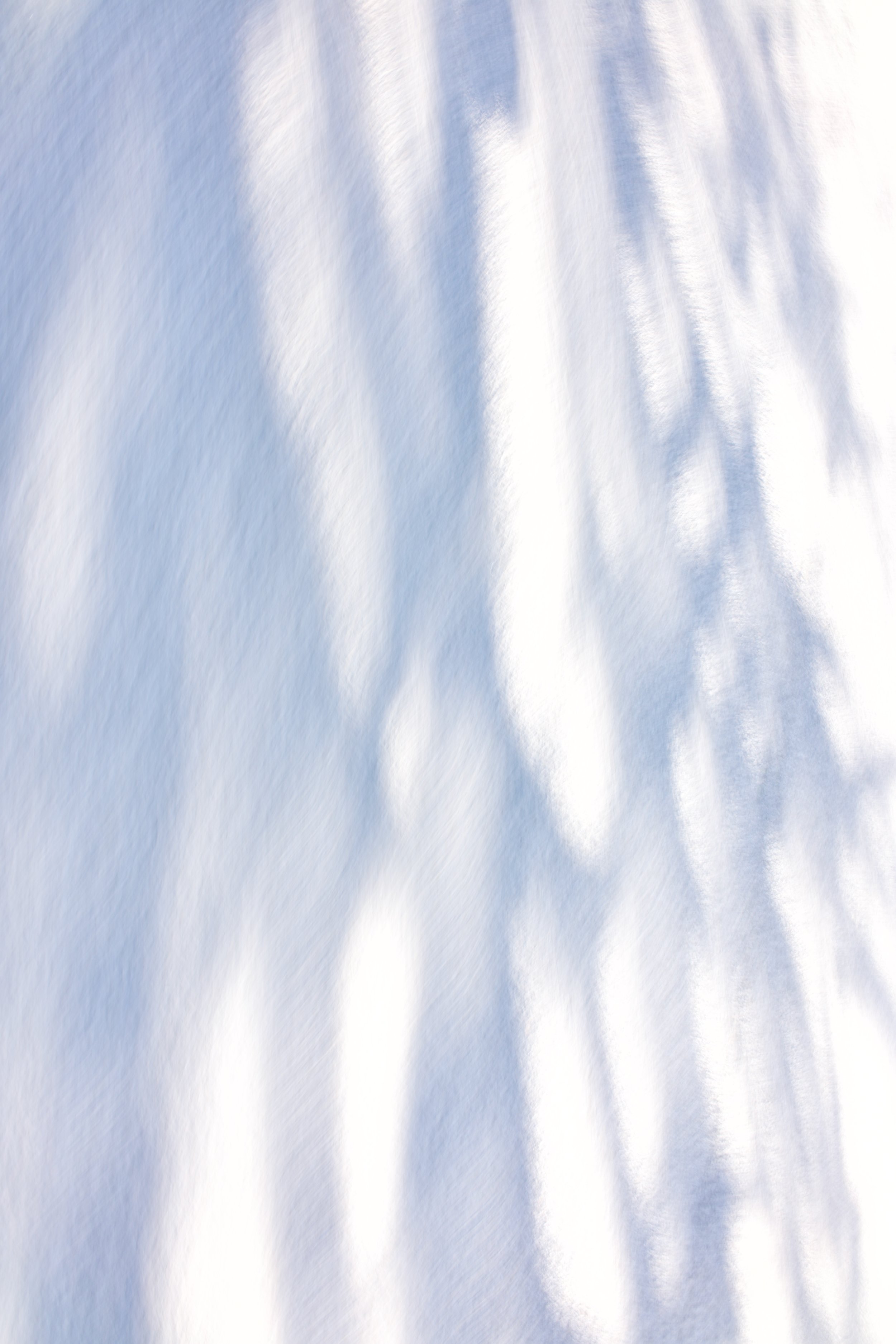  Movement 2023:7 (2023) C-print on wood panel, 60”x40” 