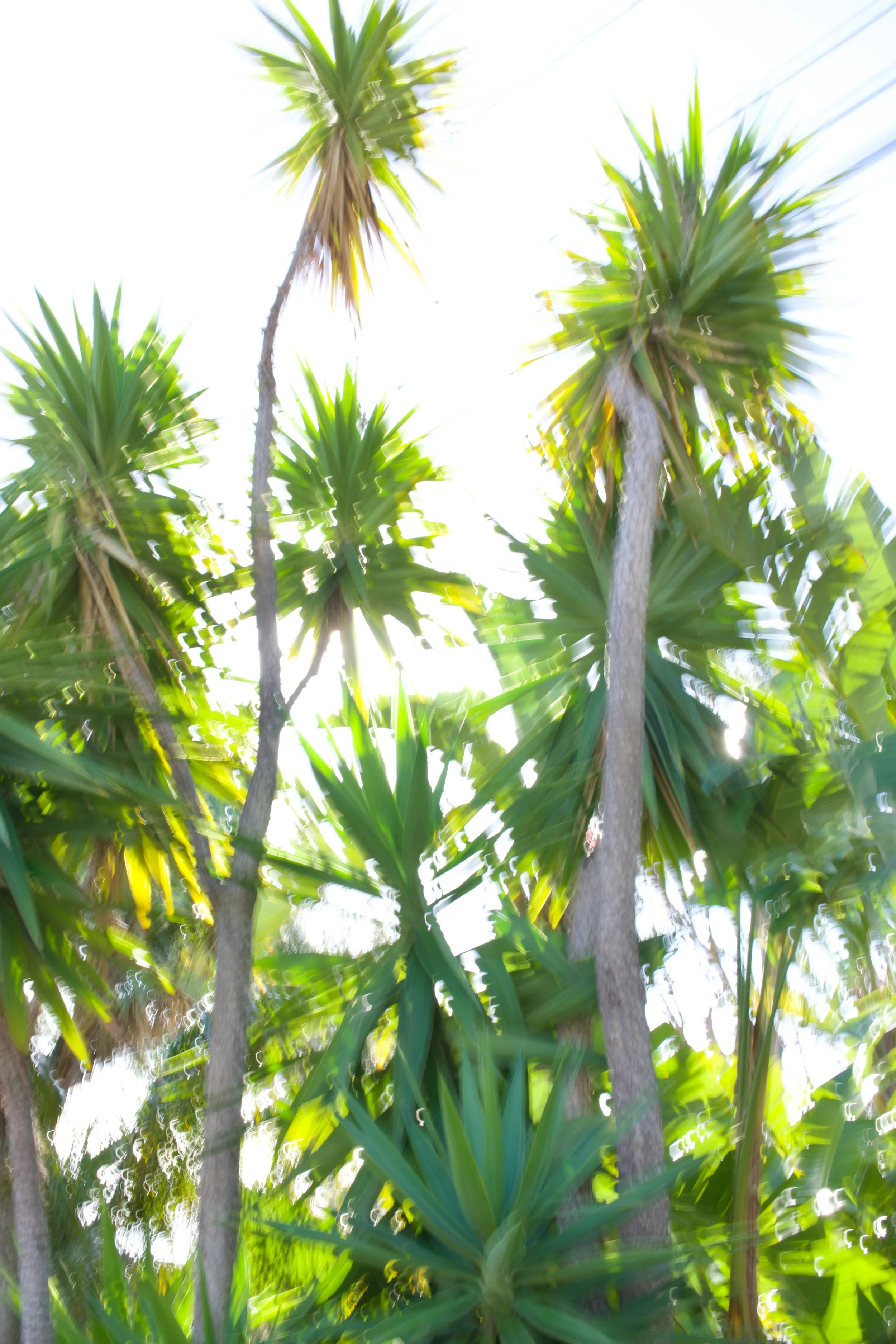  Movement 2023:13 (2023) C-print on wood panel, 60”x40” 