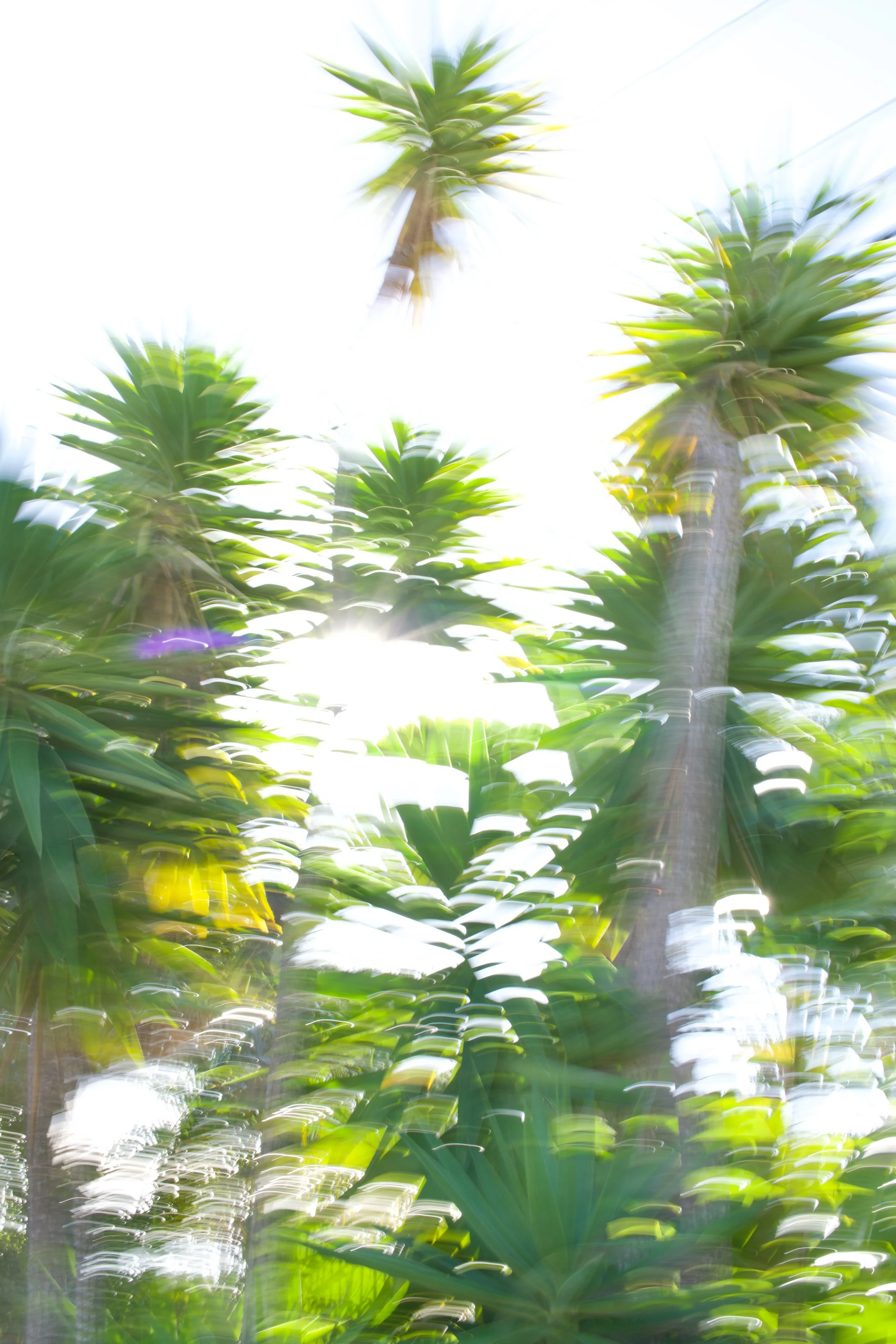  Movement 2023:14 (2023) C-print on wood panel, 60”x40” 