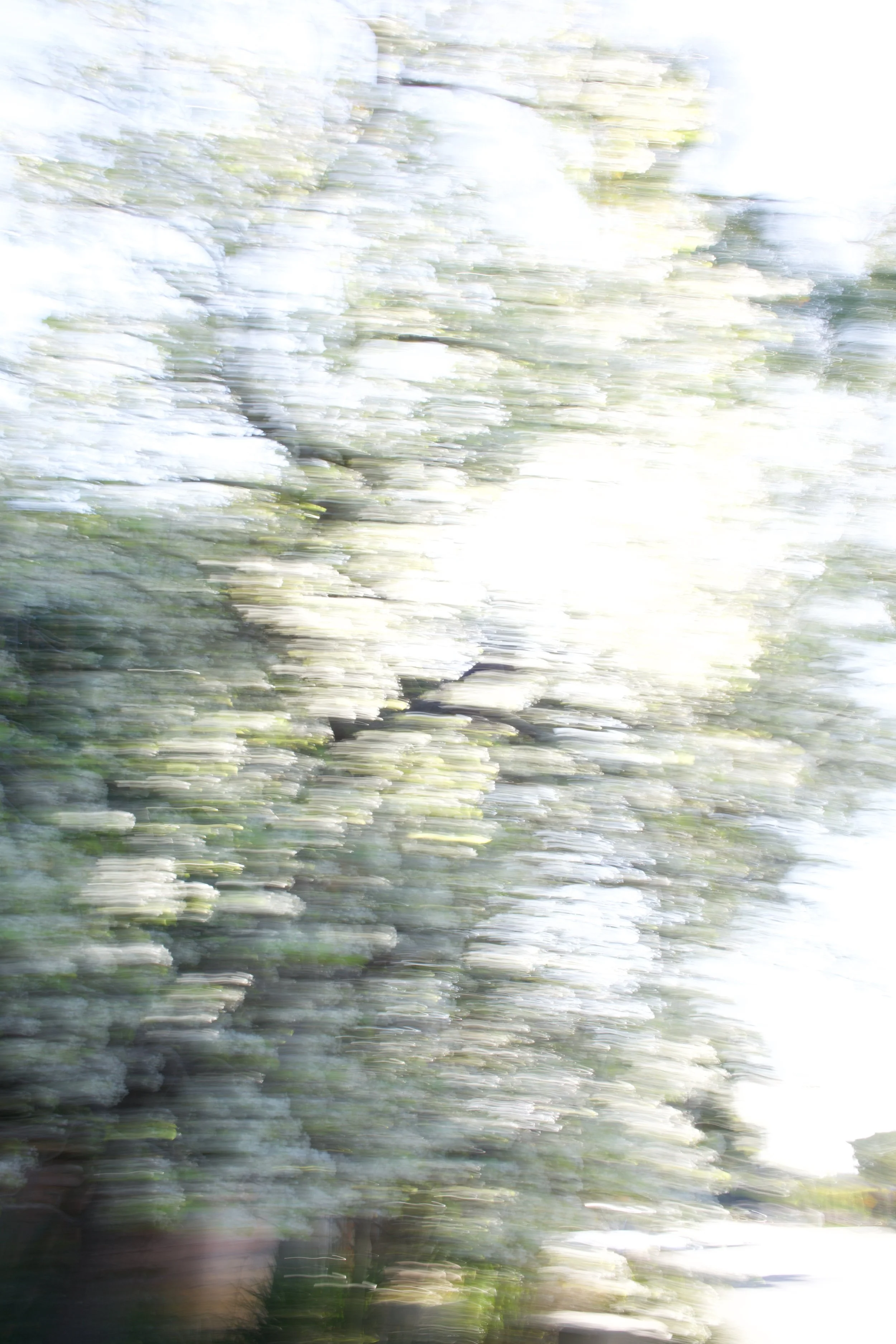  Movement 2023:15 (2023) C-print on wood panel, 60”x40” 