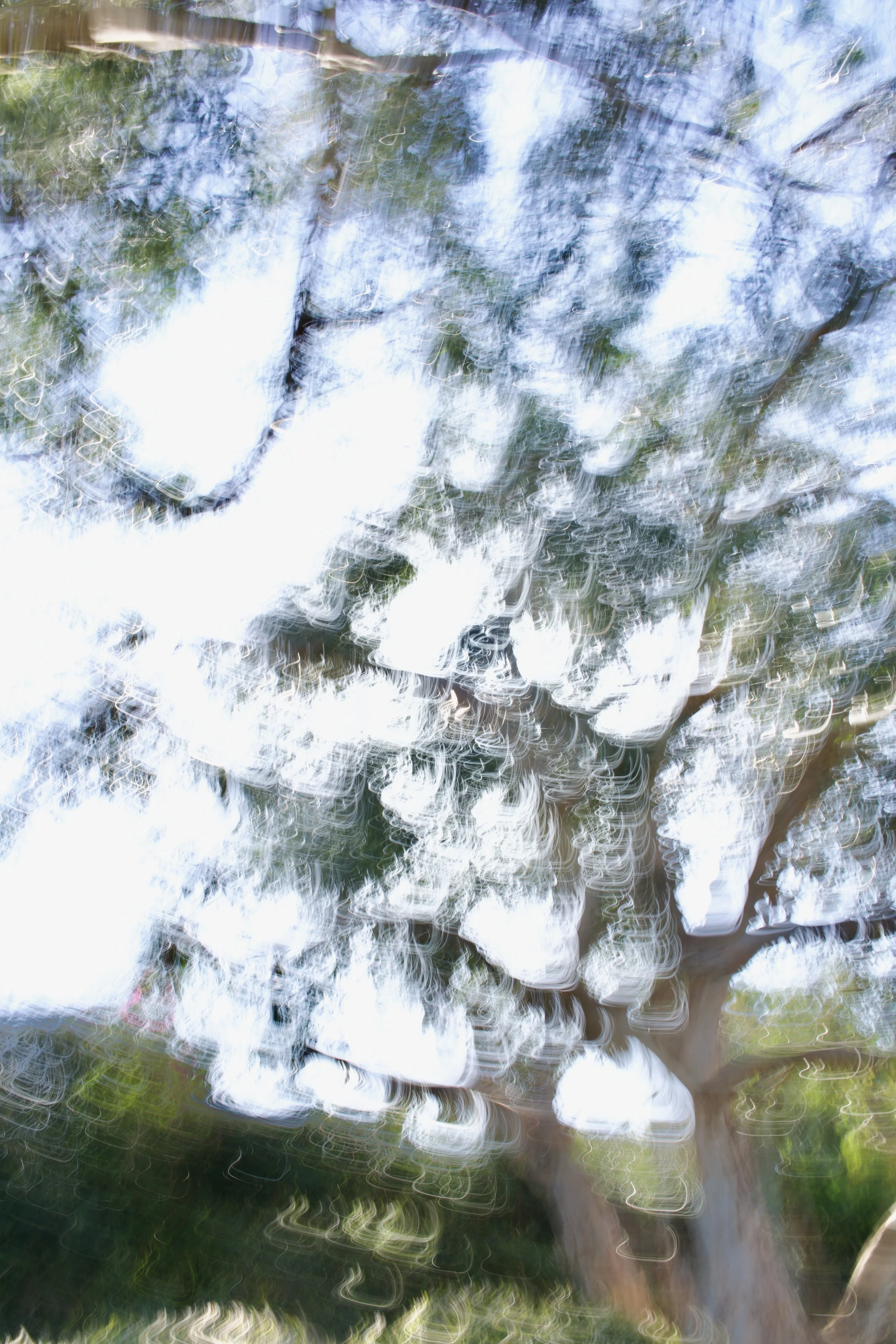  Movement 2023:21 (2023) C-print on wood panel, 60”x40” 