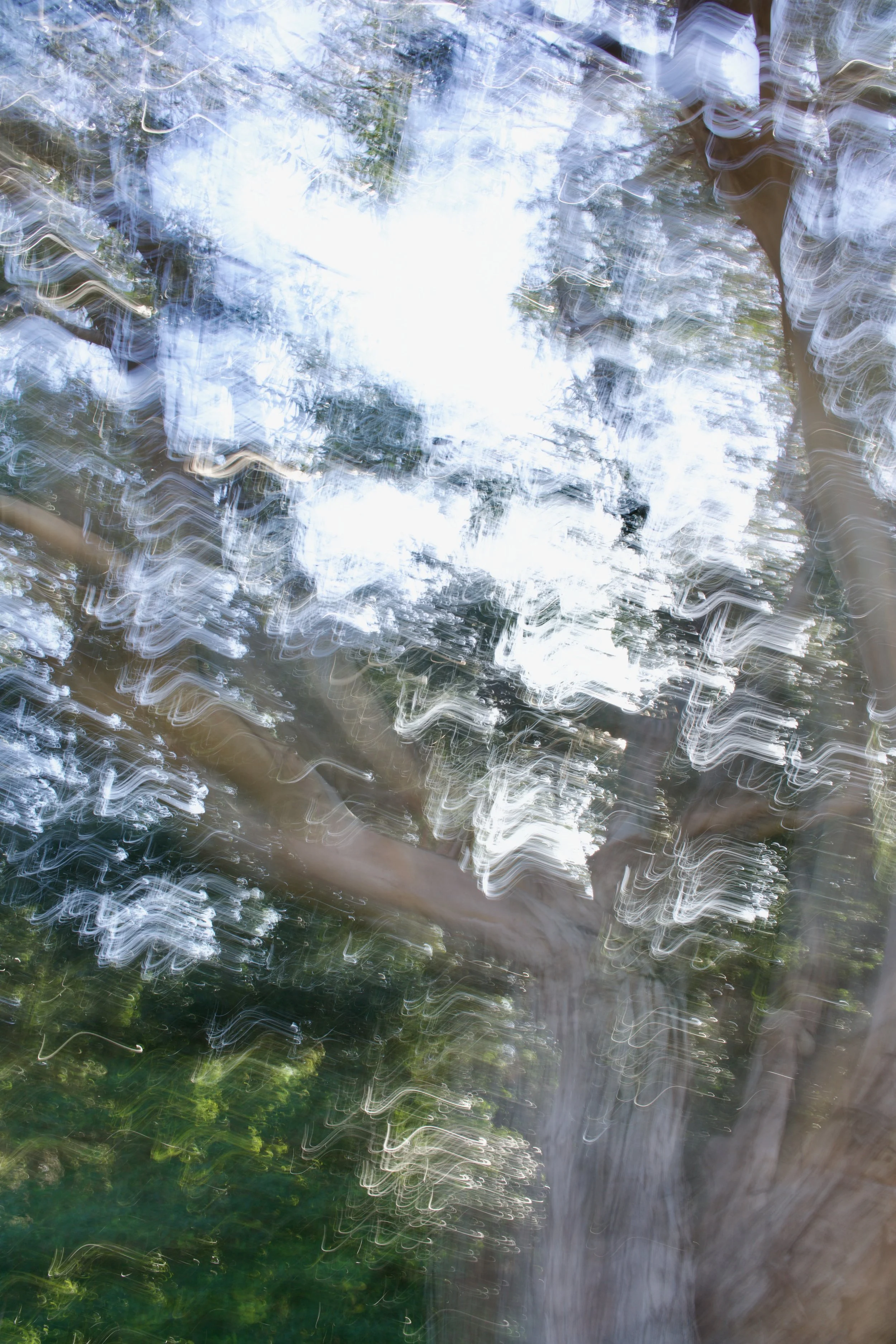  Movement 2023:23 (2023) C-print on wood panel, 60”x40” 