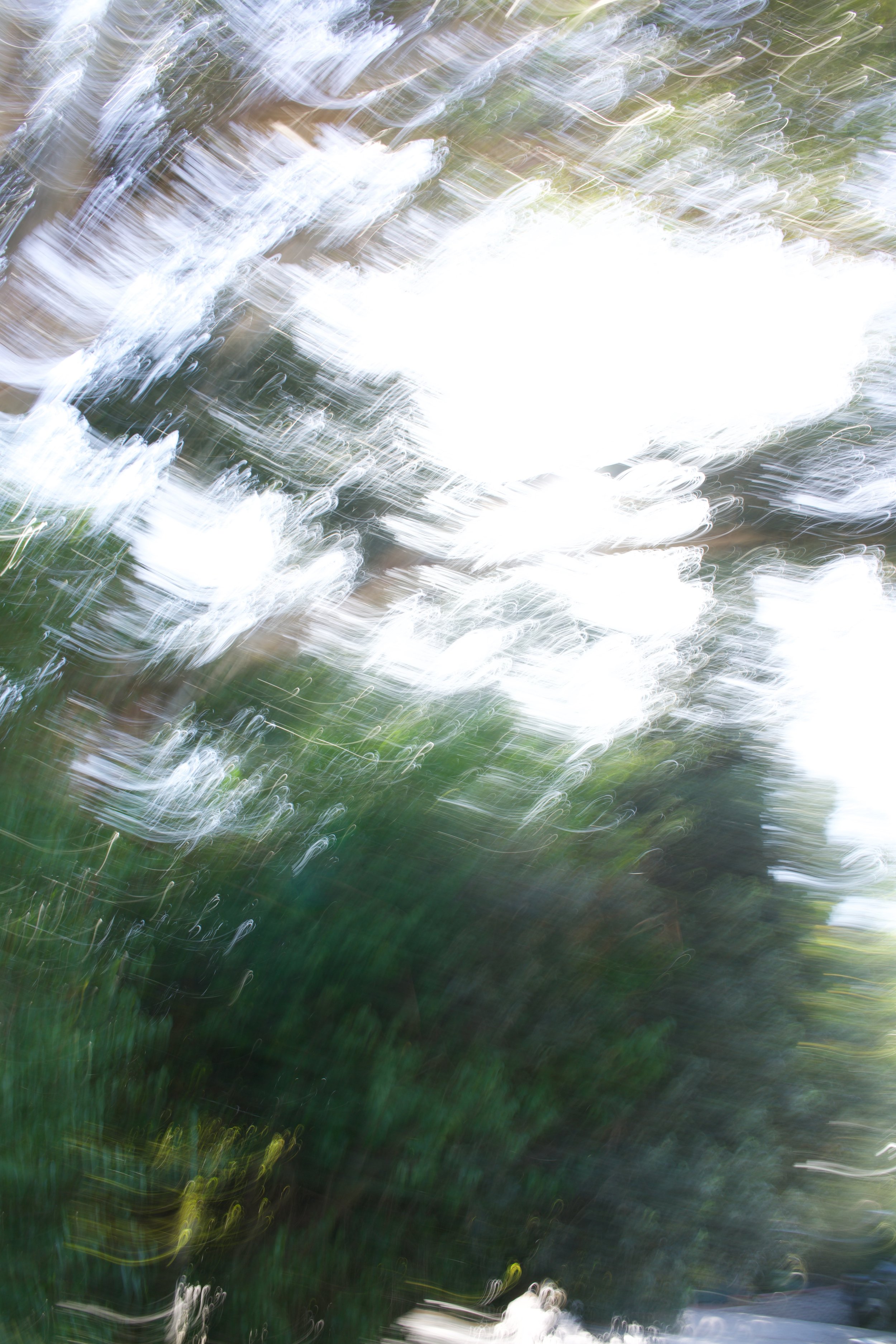  Movement 2023:24 (2023) C-print on wood panel, 60”x40” 