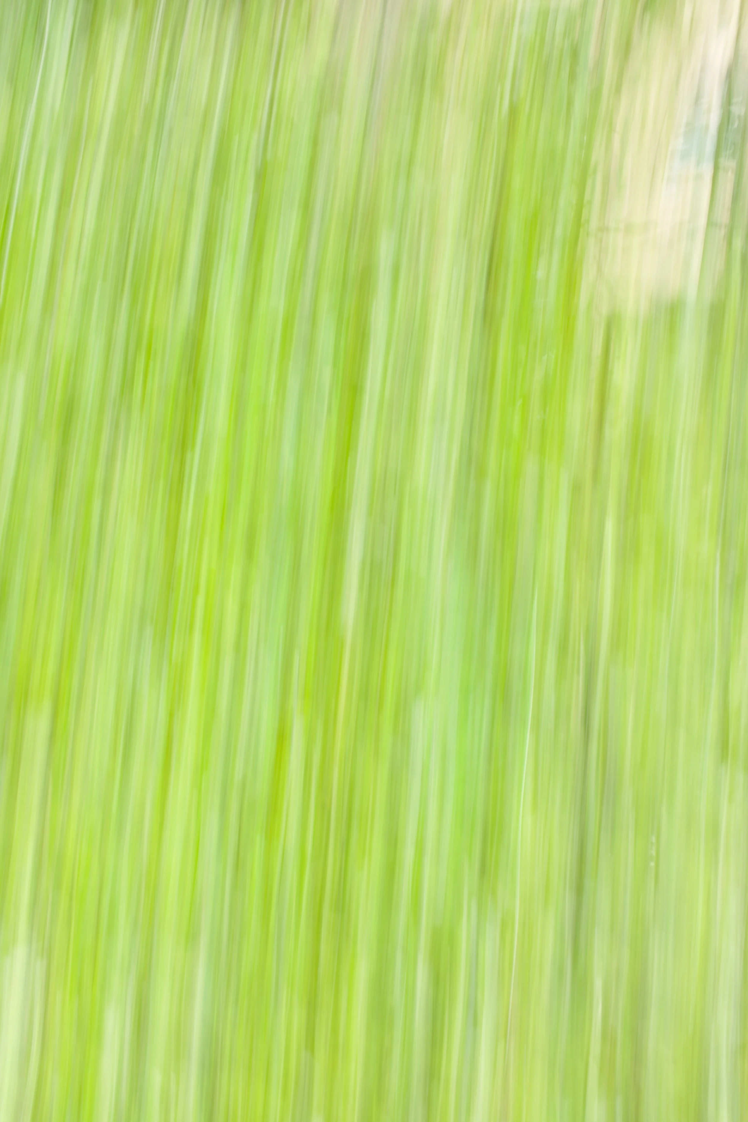  Movement 2023:26 (2023) C-print on wood panel, 60”x40” 