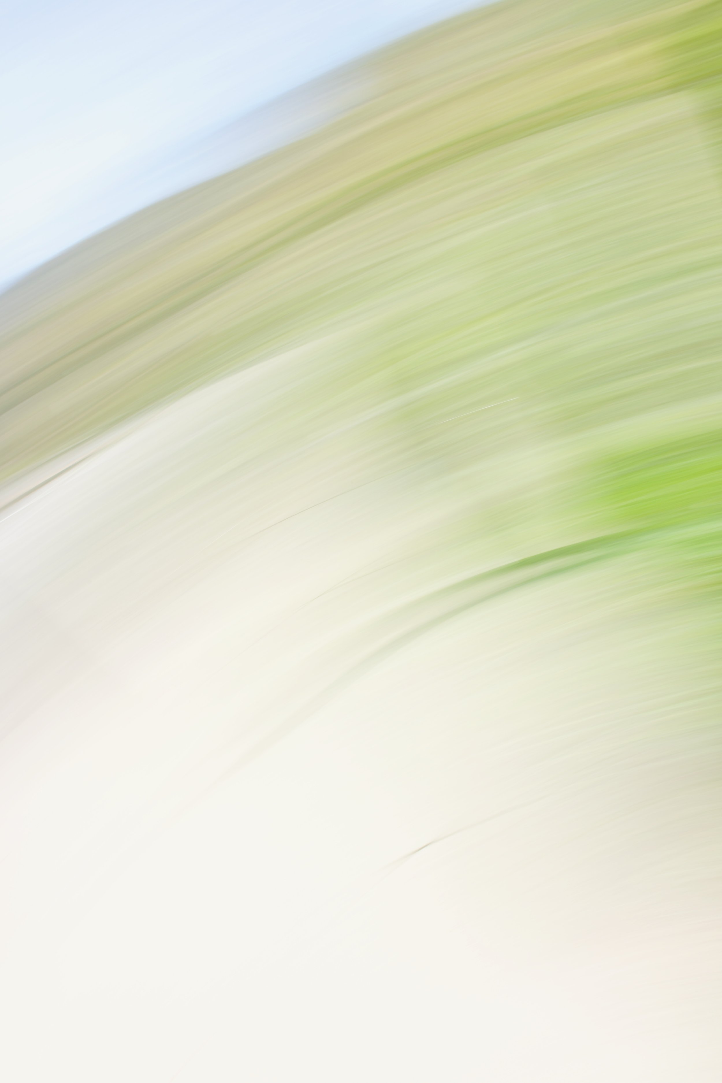  Movement 2023:29 (2023) C-print on wood panel, 60”x40” 