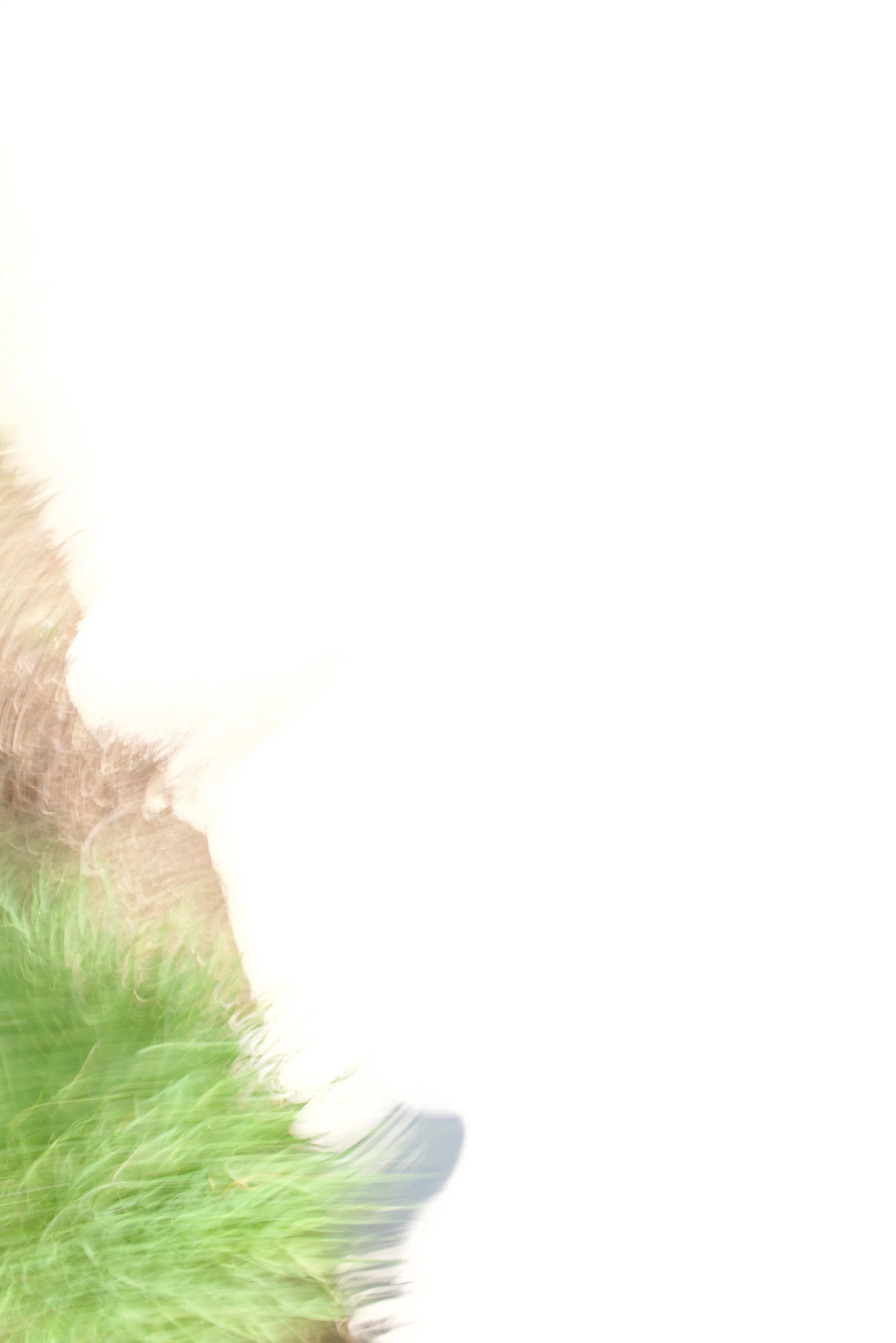  Movement 2023:33 (2023) C-print on wood panel, 60”x40” 