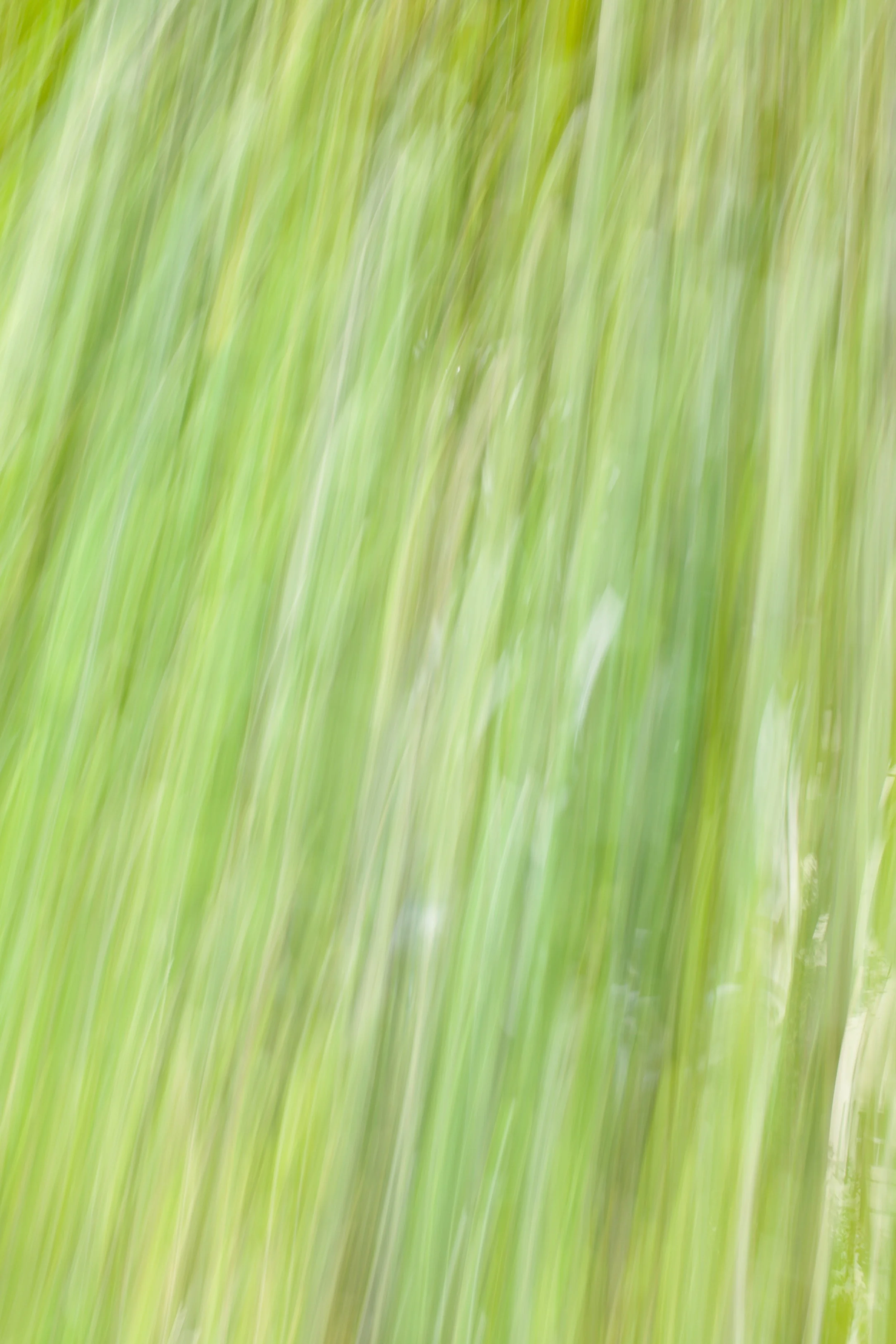  Movement 2023:32 (2023) C-print on wood panel, 60”x40” 