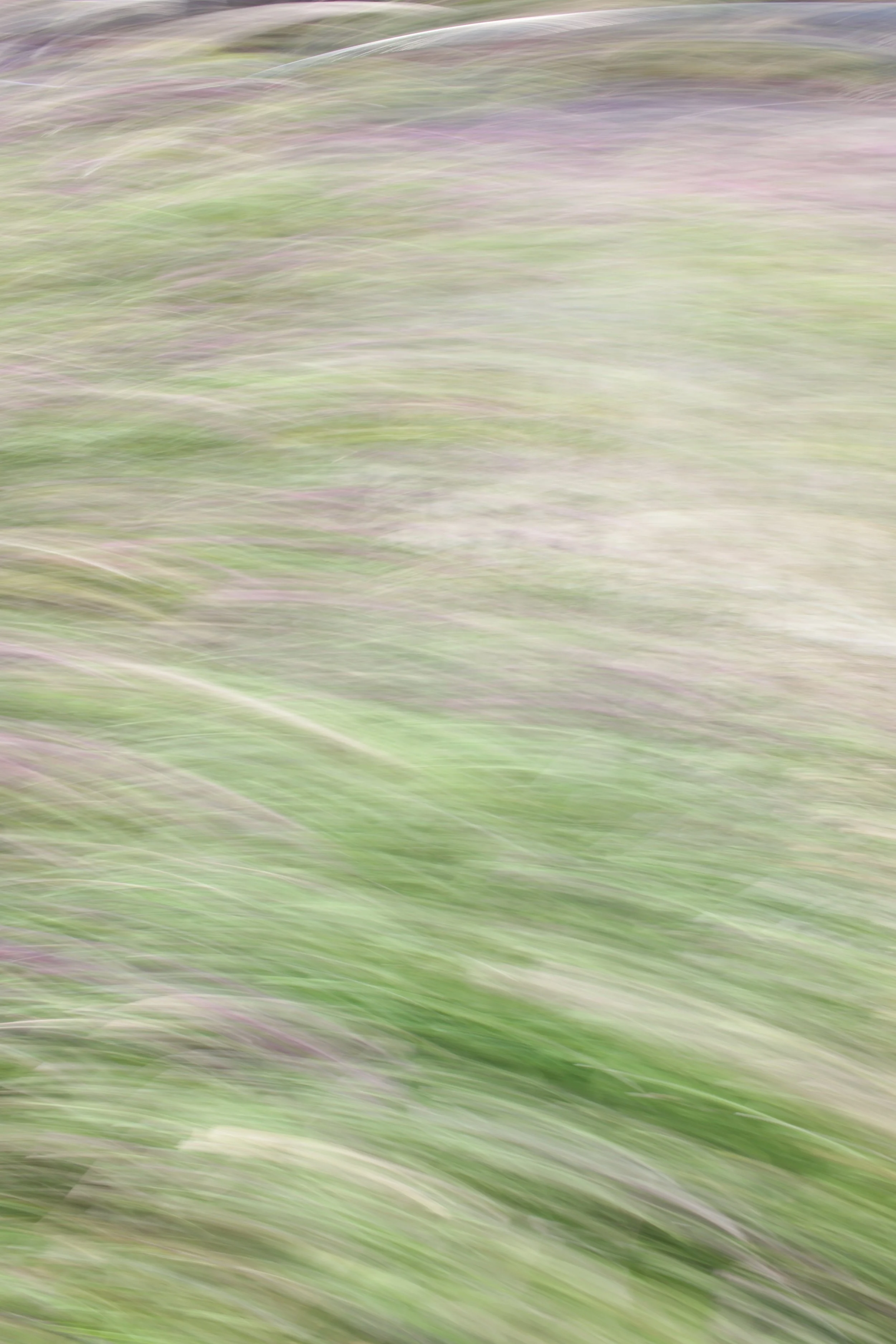  Movement 2023:37 (2023) C-print on wood panel, 60”x40” 