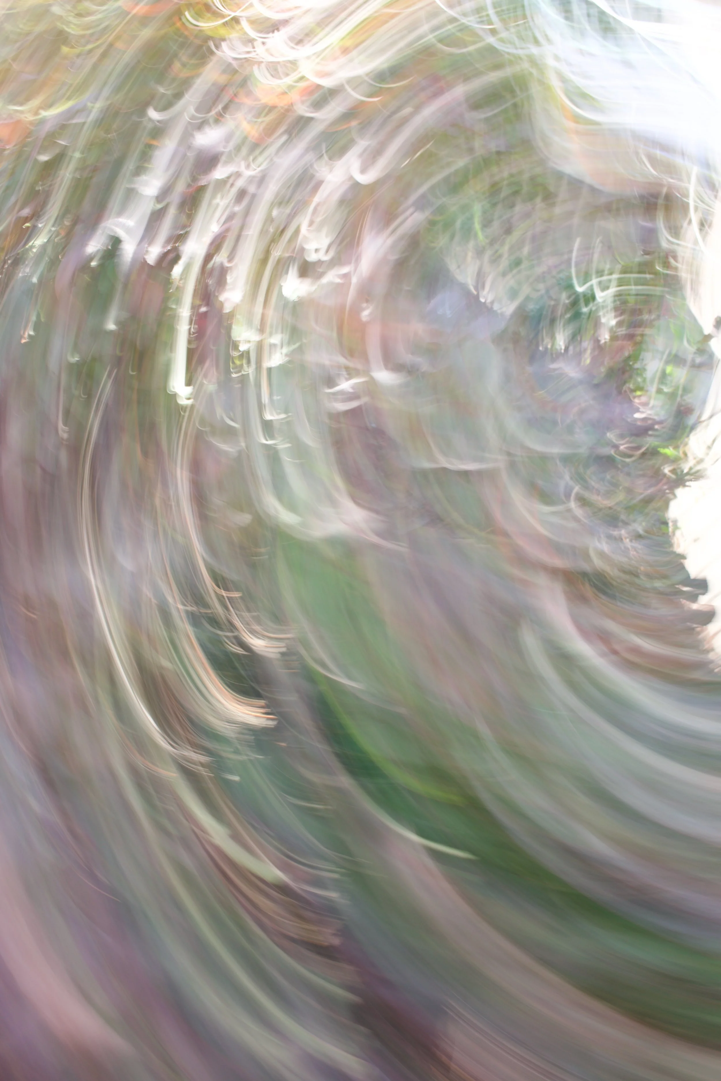  Movement 2023:40 (2023) C-print on wood panel, 60”x40” 