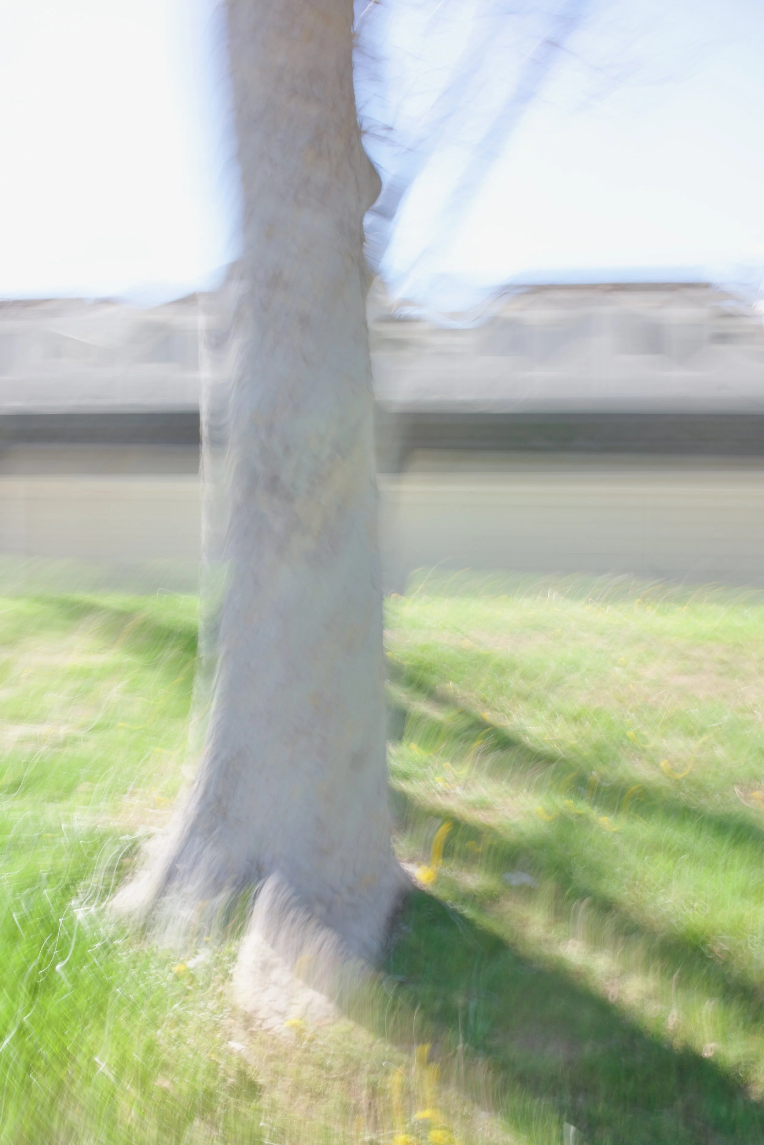  Movement 2023:41 (2023) C-print on wood panel, 60”x40” 