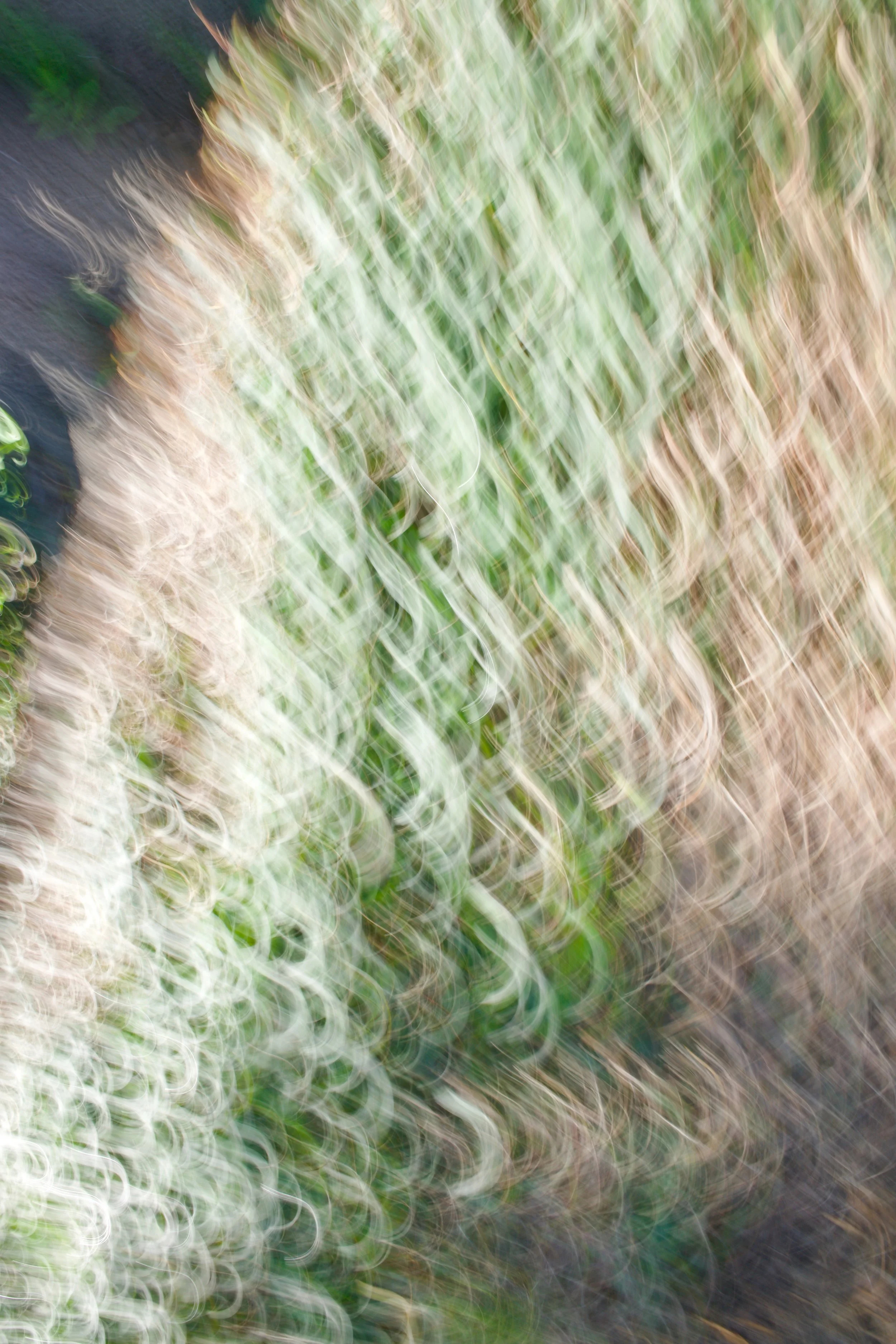  Movement 2023:44 (2023) C-print on wood panel, 60”x40” 