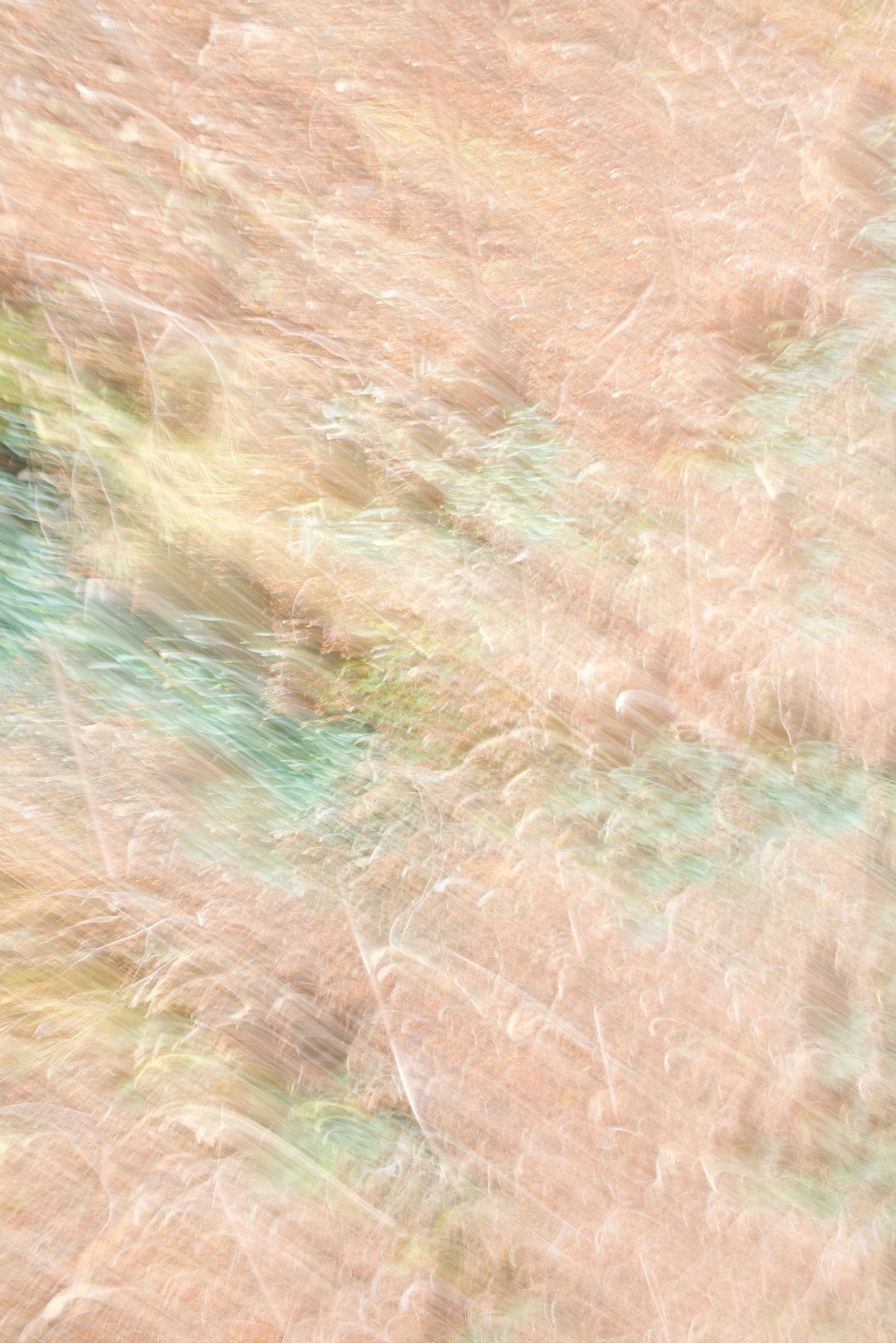  Movement 2023:47 (2023) C-print on wood panel, 60”x40” 