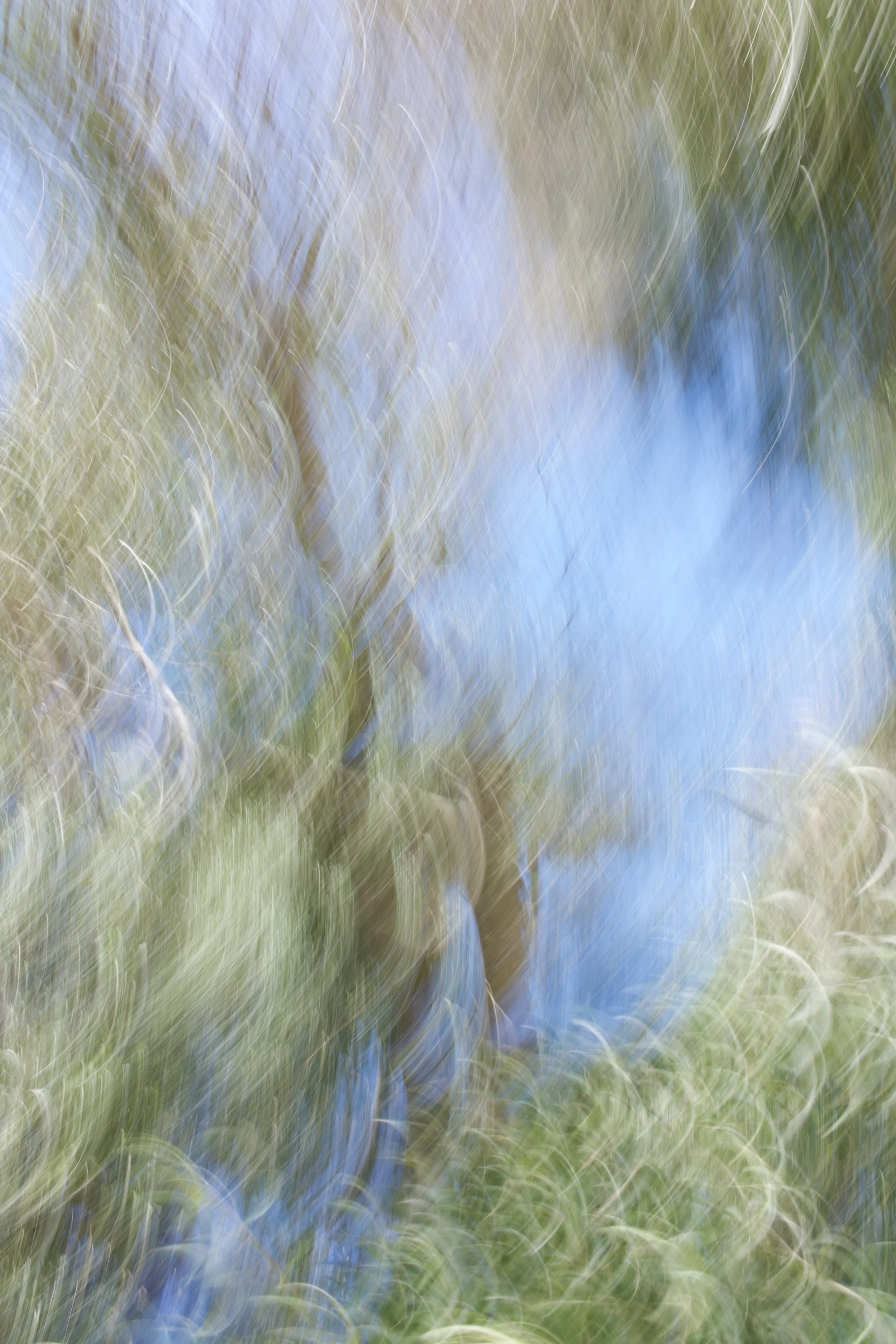  Movement 2023:48 (2023) C-print on wood panel, 60”x40” 