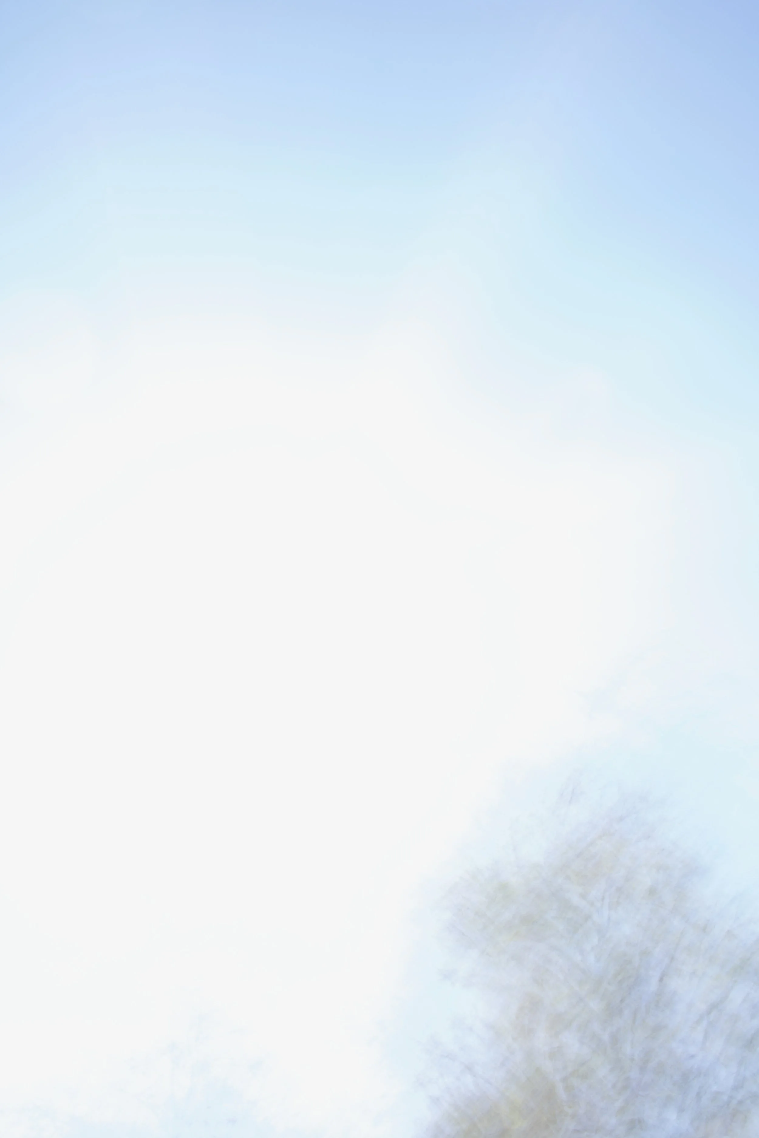  Movement 2023:51 (2023) C-print on wood panel, 60”x40” 