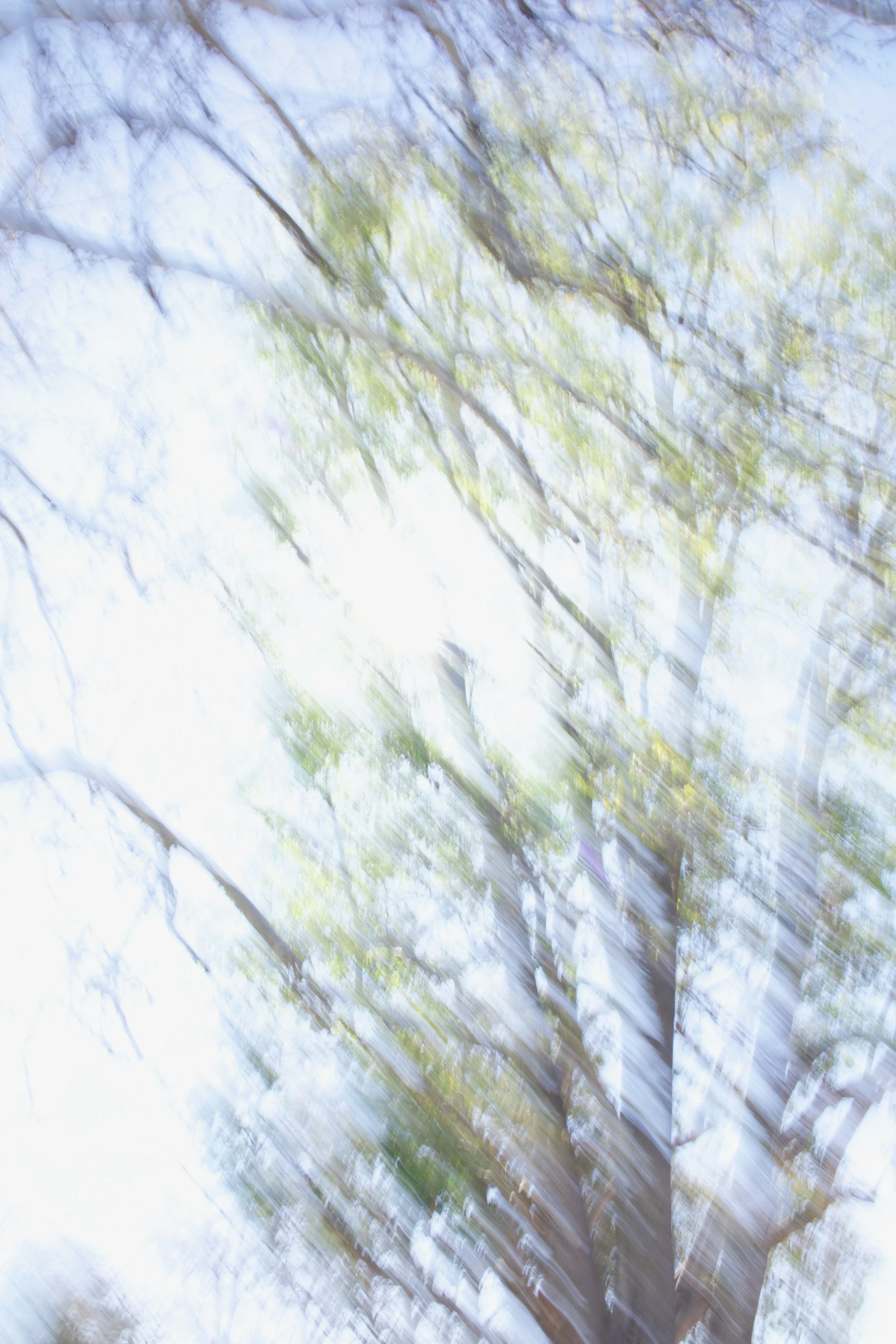  Movement 2023:54 (2023) C-print on wood panel, 60”x40” 