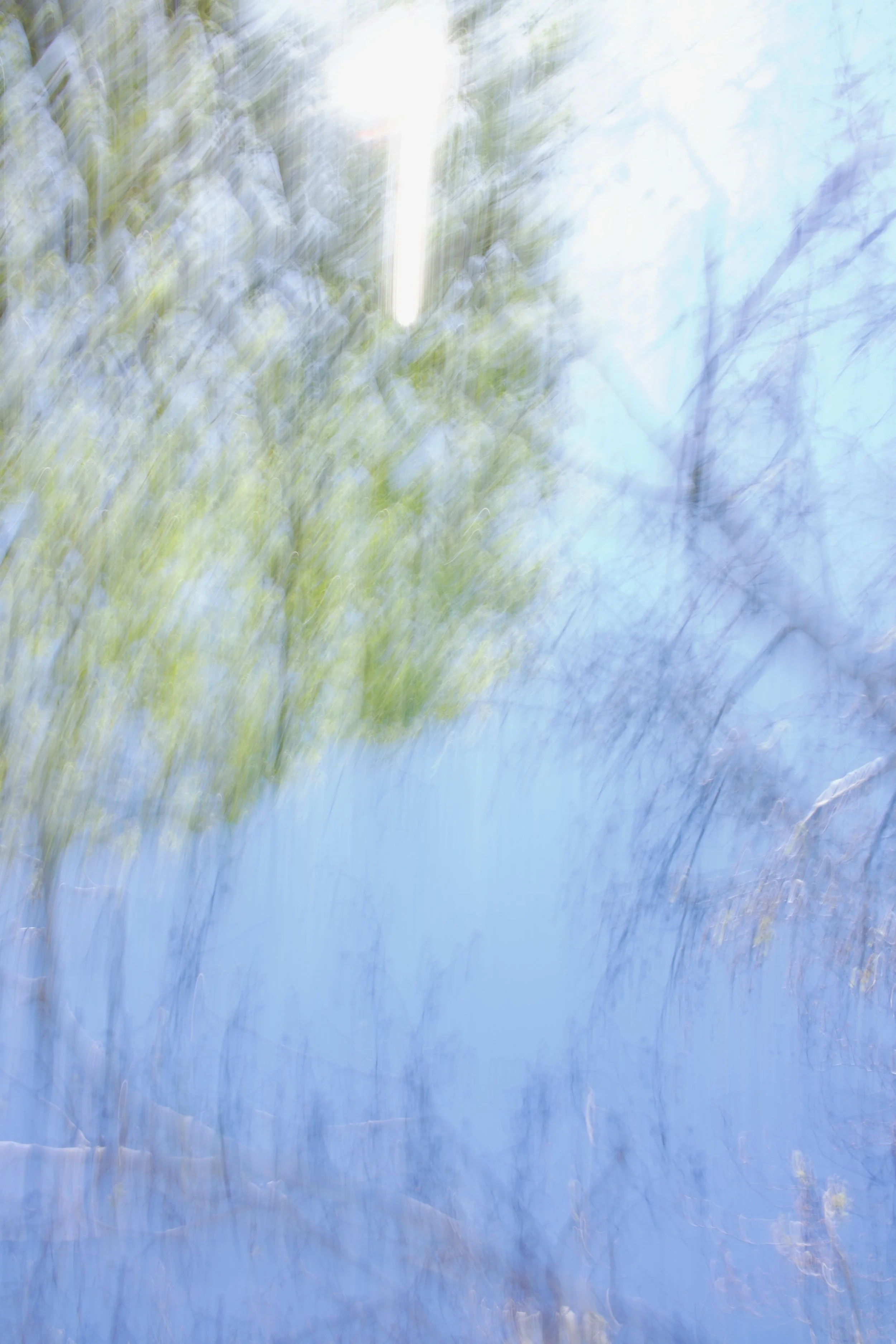  Movement 2023:55 (2023) C-print on wood panel, 60”x40” 