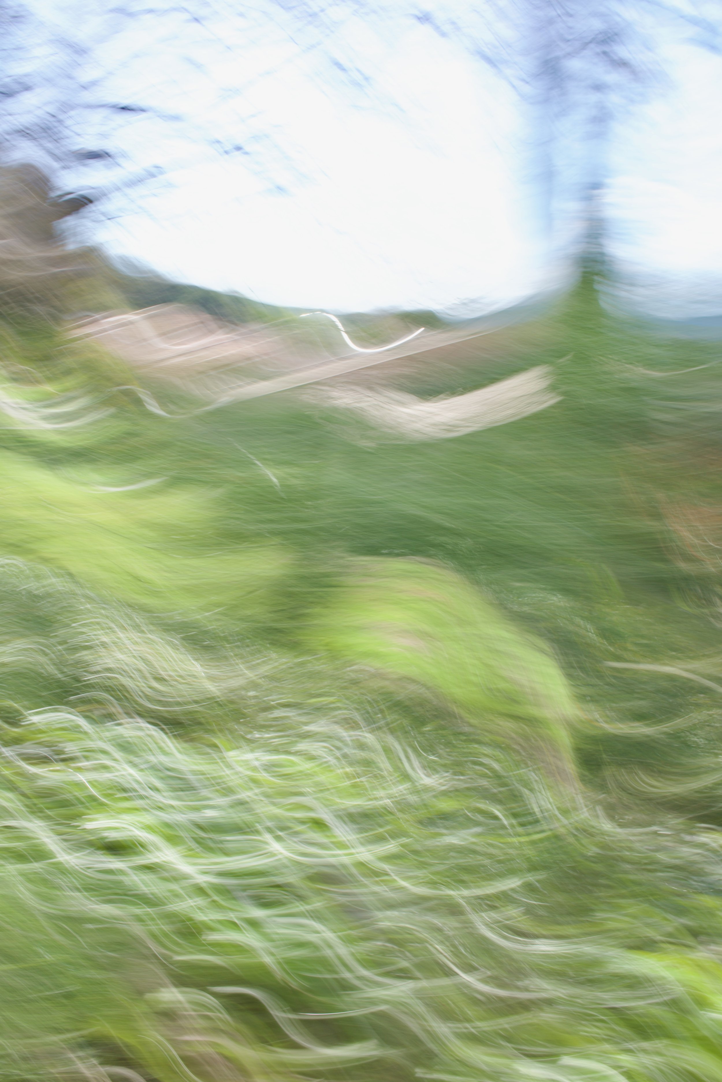  Movement 2023:58 (2023) C-print on wood panel, 60”x40” 