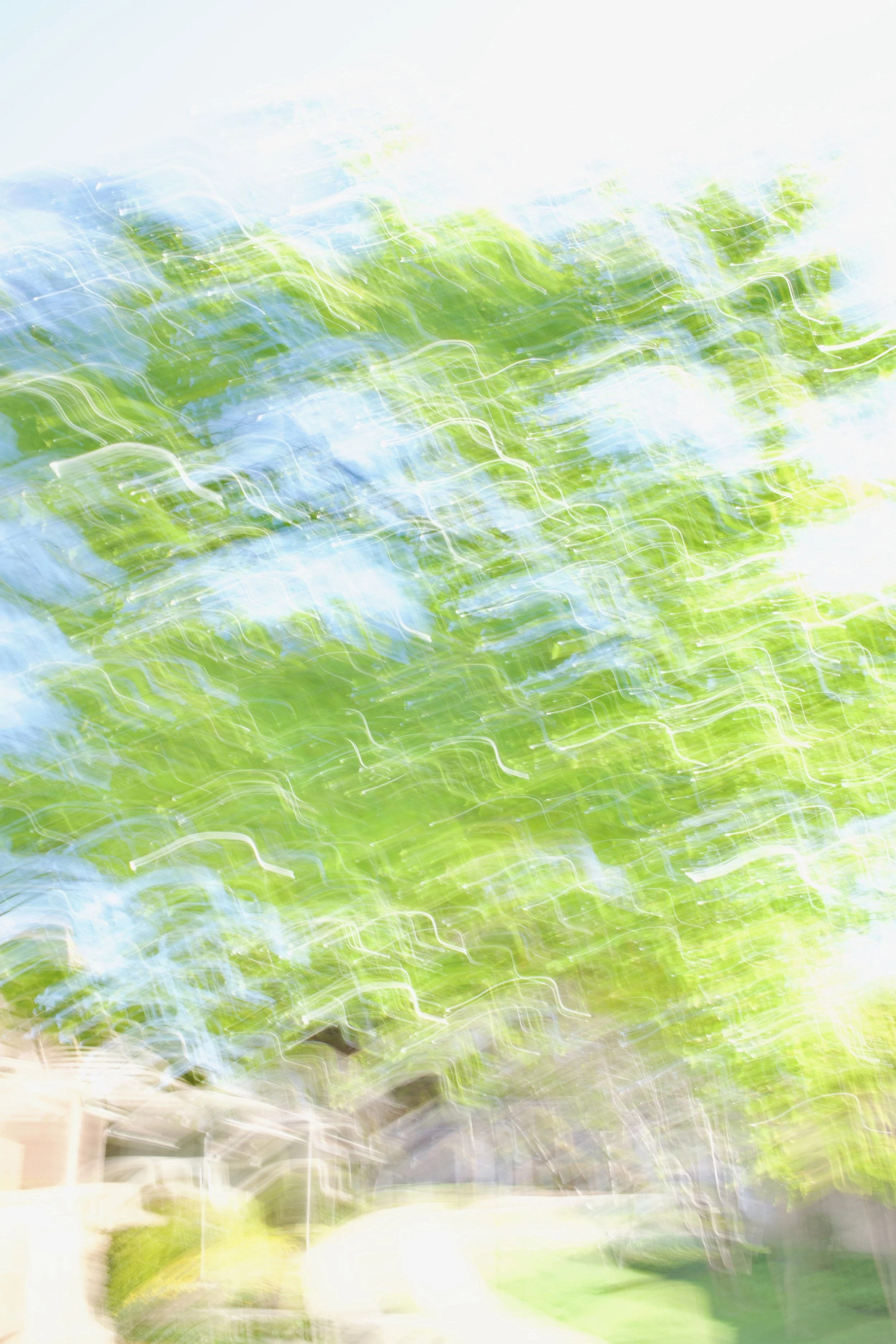  Movement 2023:60 (2023) C-print on wood panel, 60”x40” 