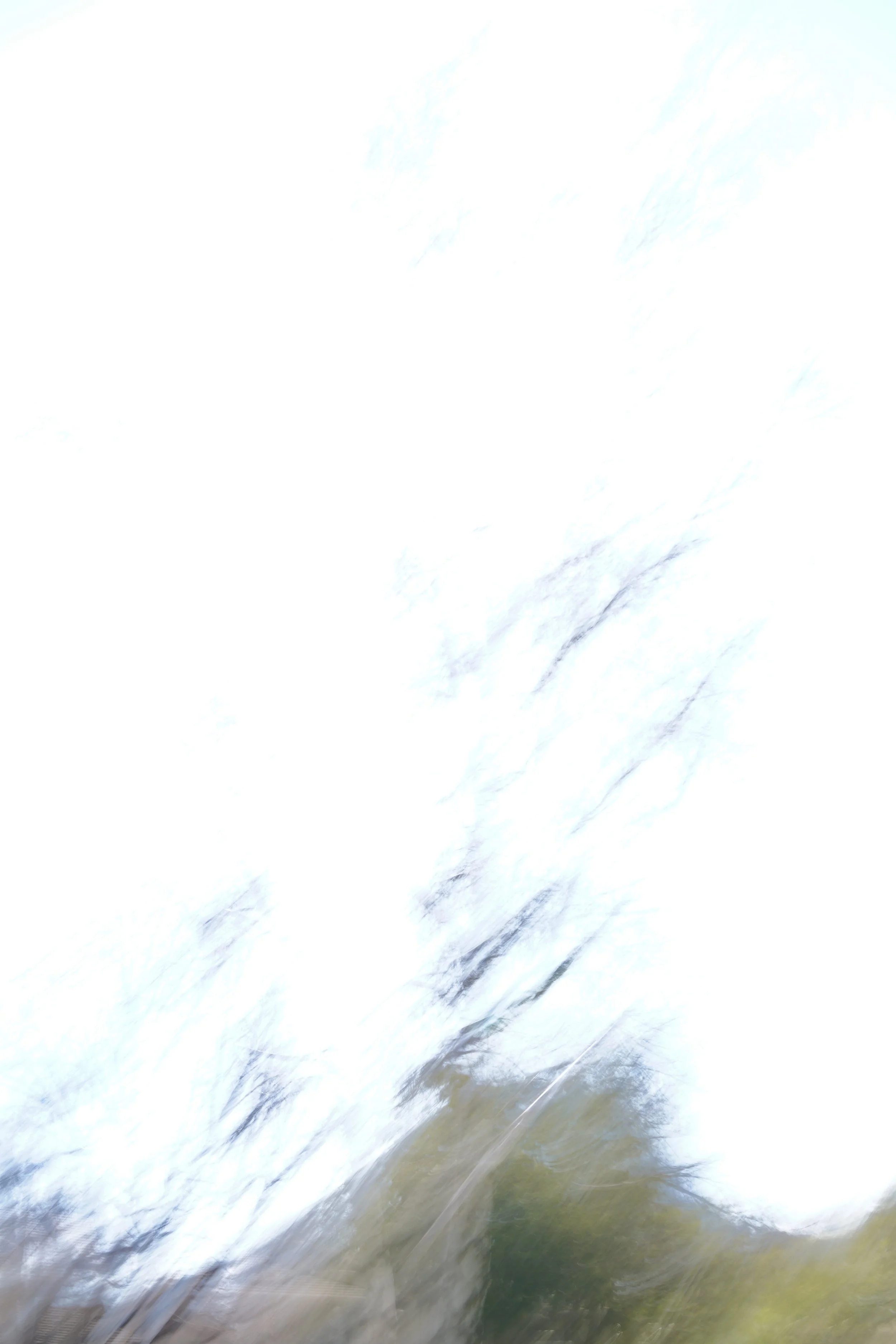  Movement 2023:63 (2023) C-print on wood panel, 60”x40” 