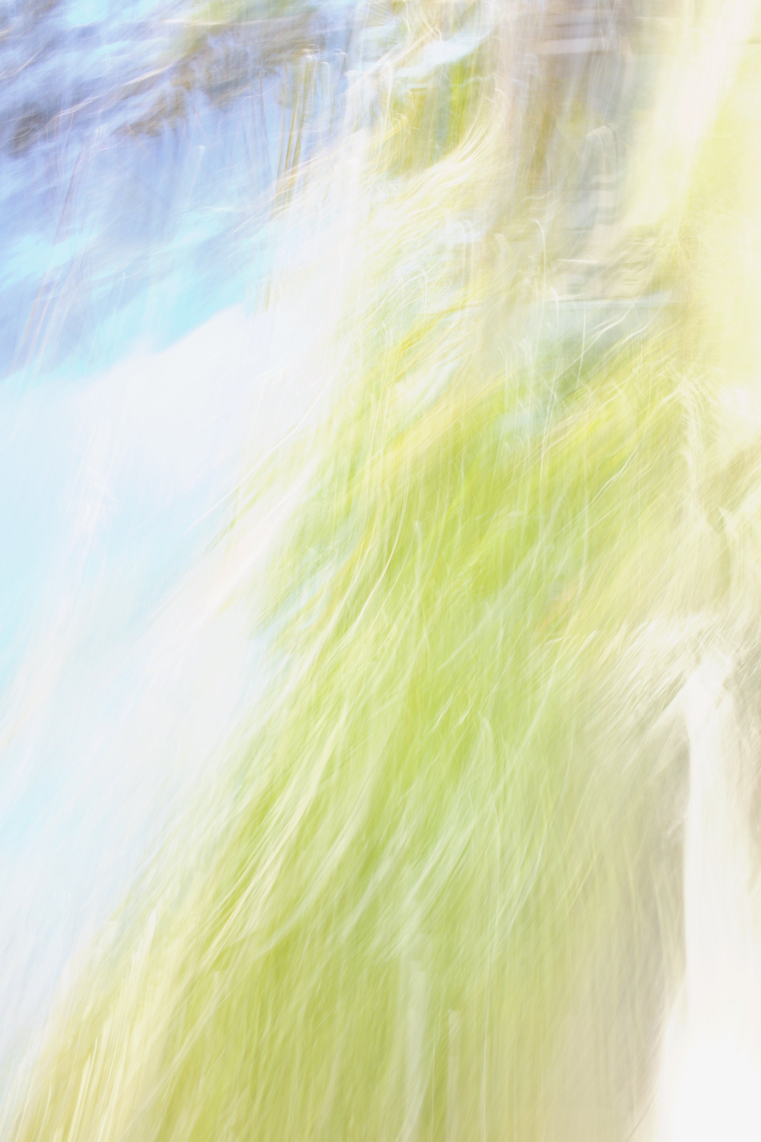  Movement 2023:62 (2023) C-print on wood panel, 60”x40” 