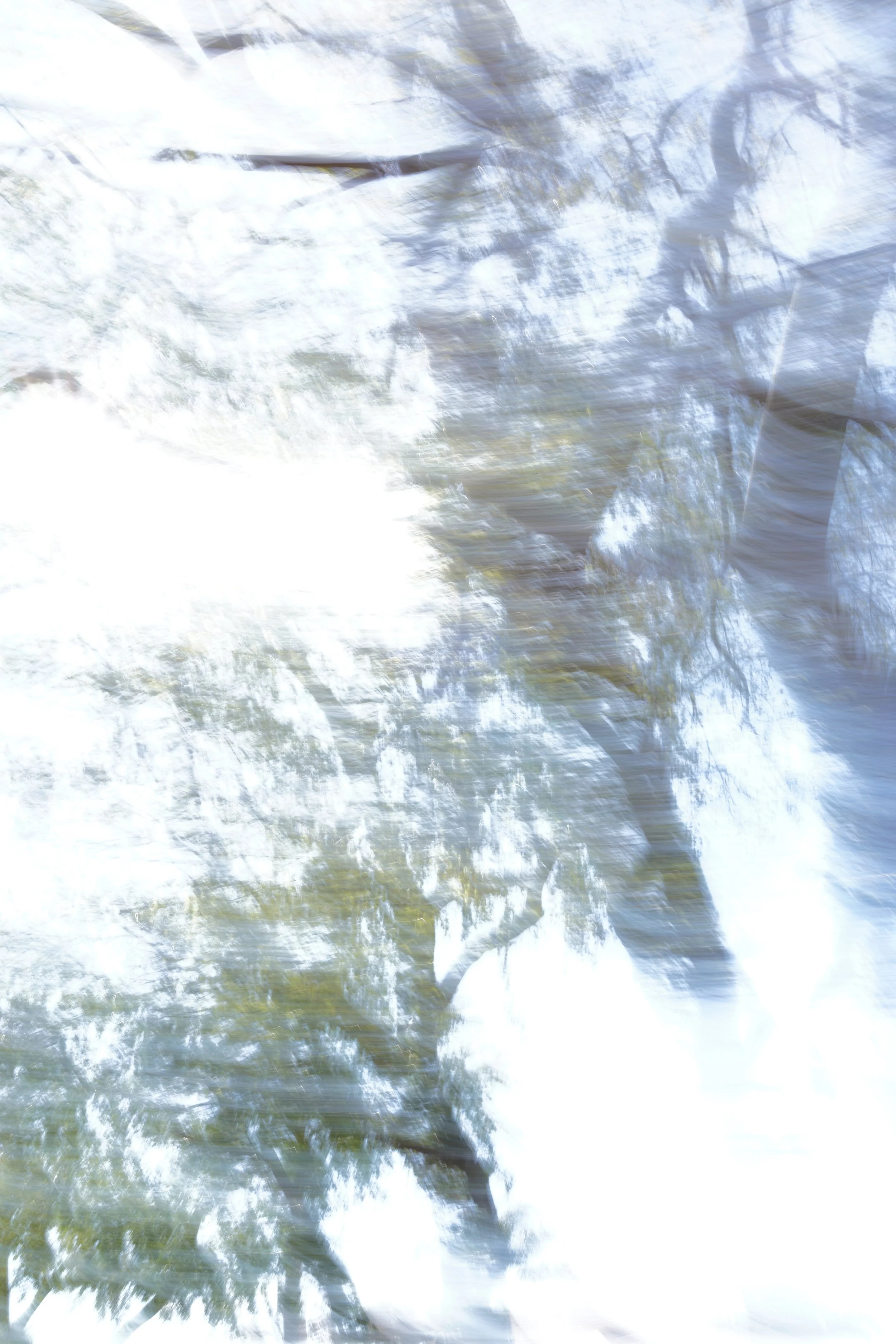  Movement 2023:64 (2023) C-print on wood panel, 60”x40” 