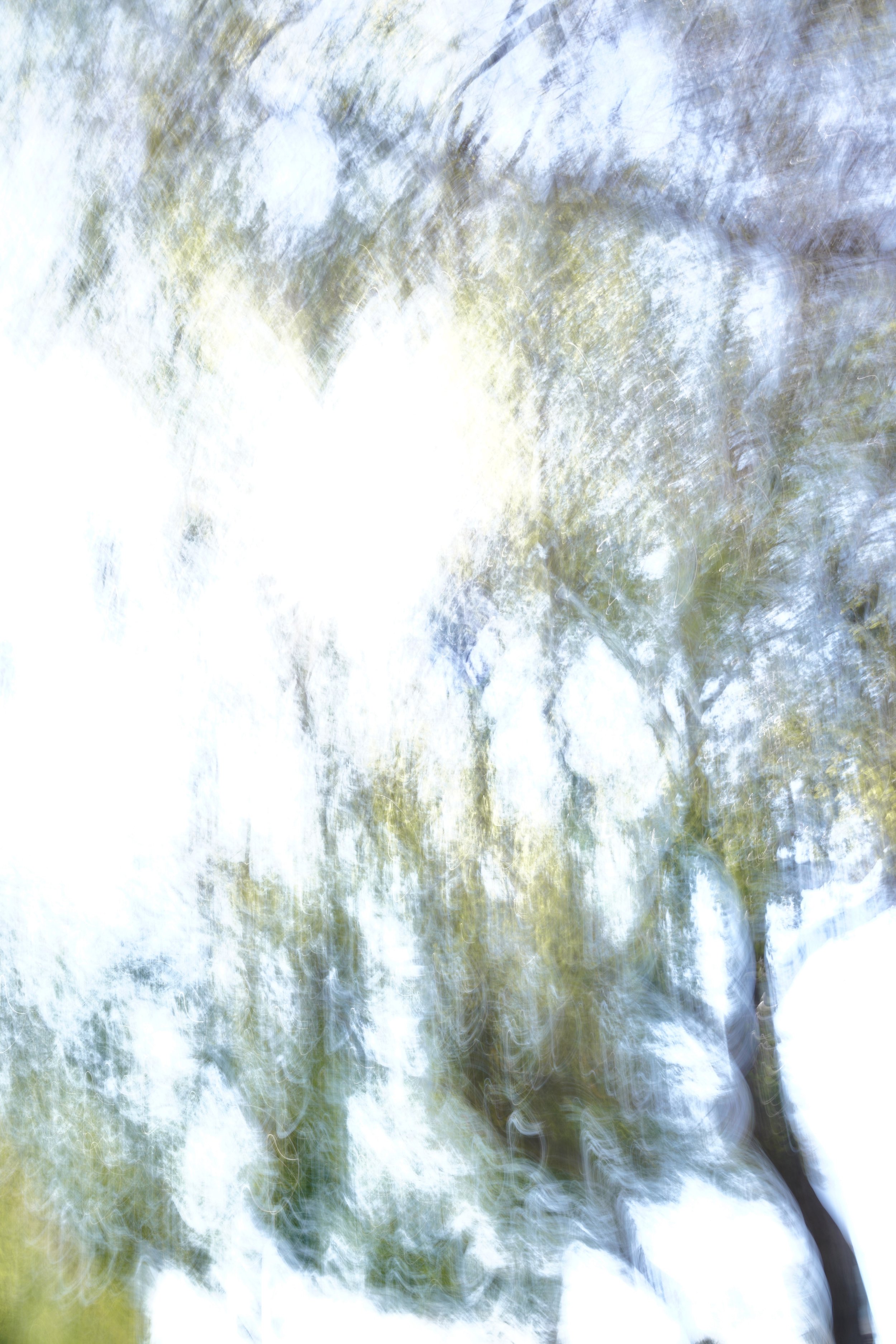  Movement 2023:65 (2023) C-print on wood panel, 60”x40” 