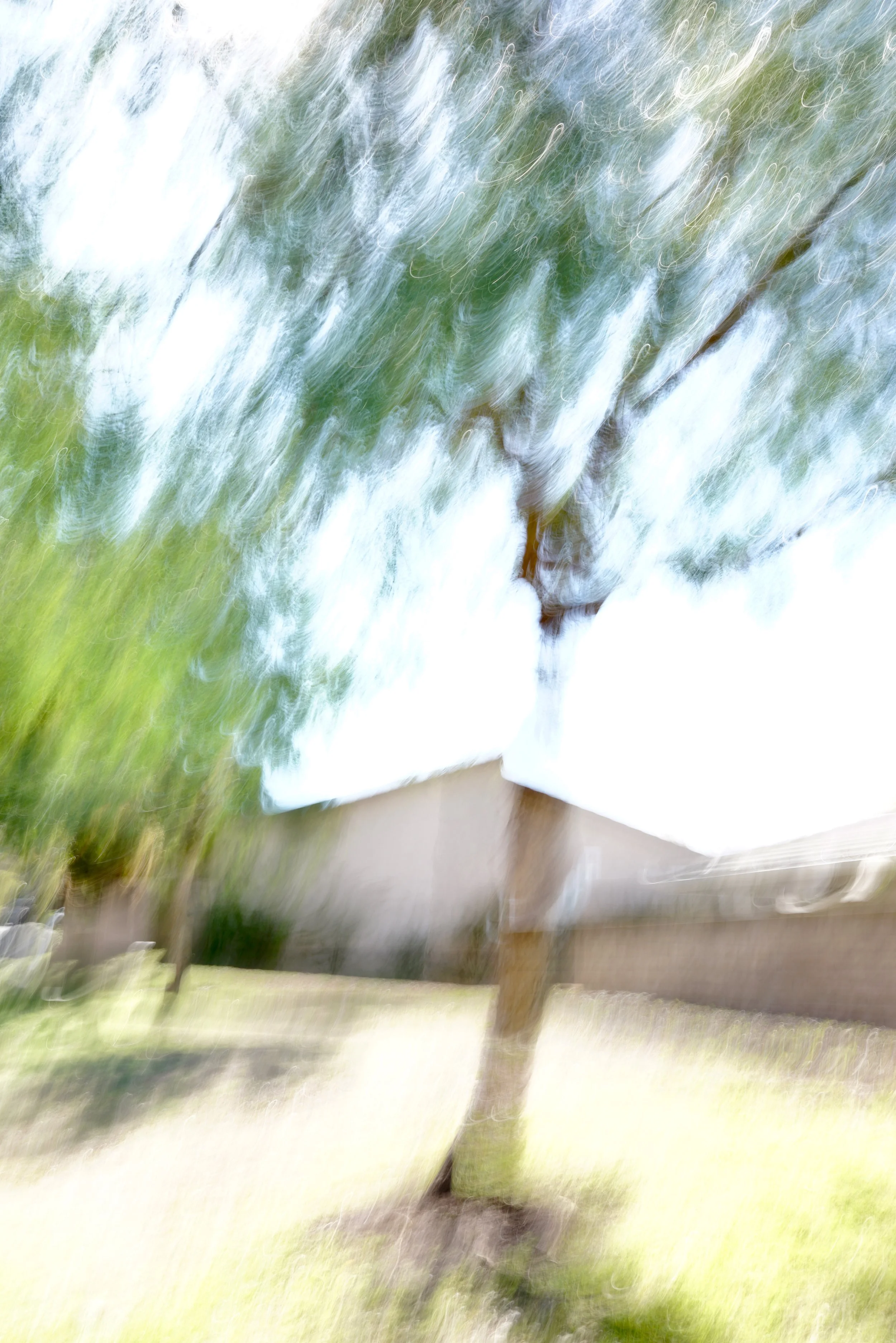  Movement 2023:67 (2023) C-print on wood panel, 60”x40” 