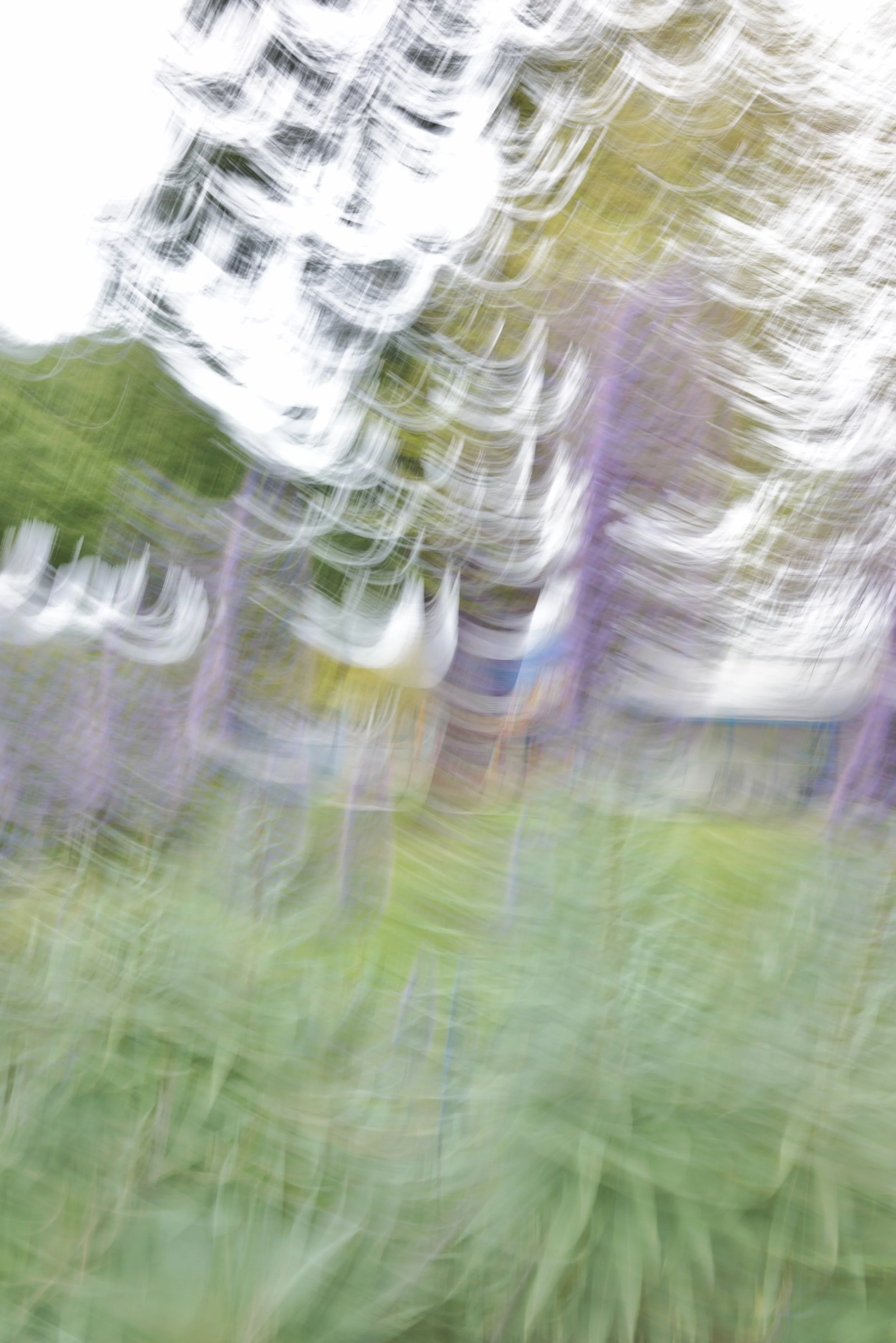  Movement 2023:71 (2023) C-print on wood panel, 60”x40” 