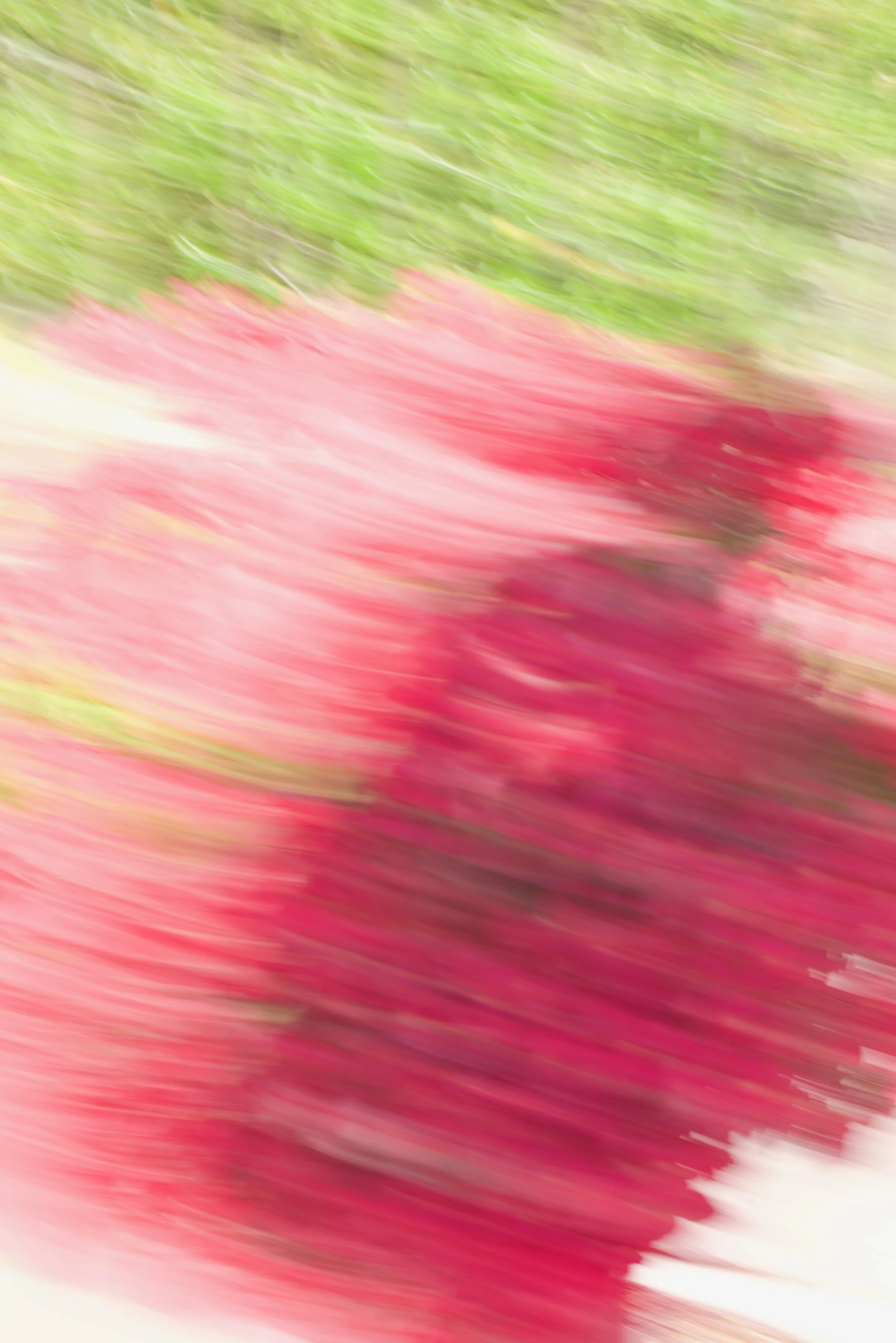  Movement 2023:72(2023) C-print on wood panel, 60”x40” 