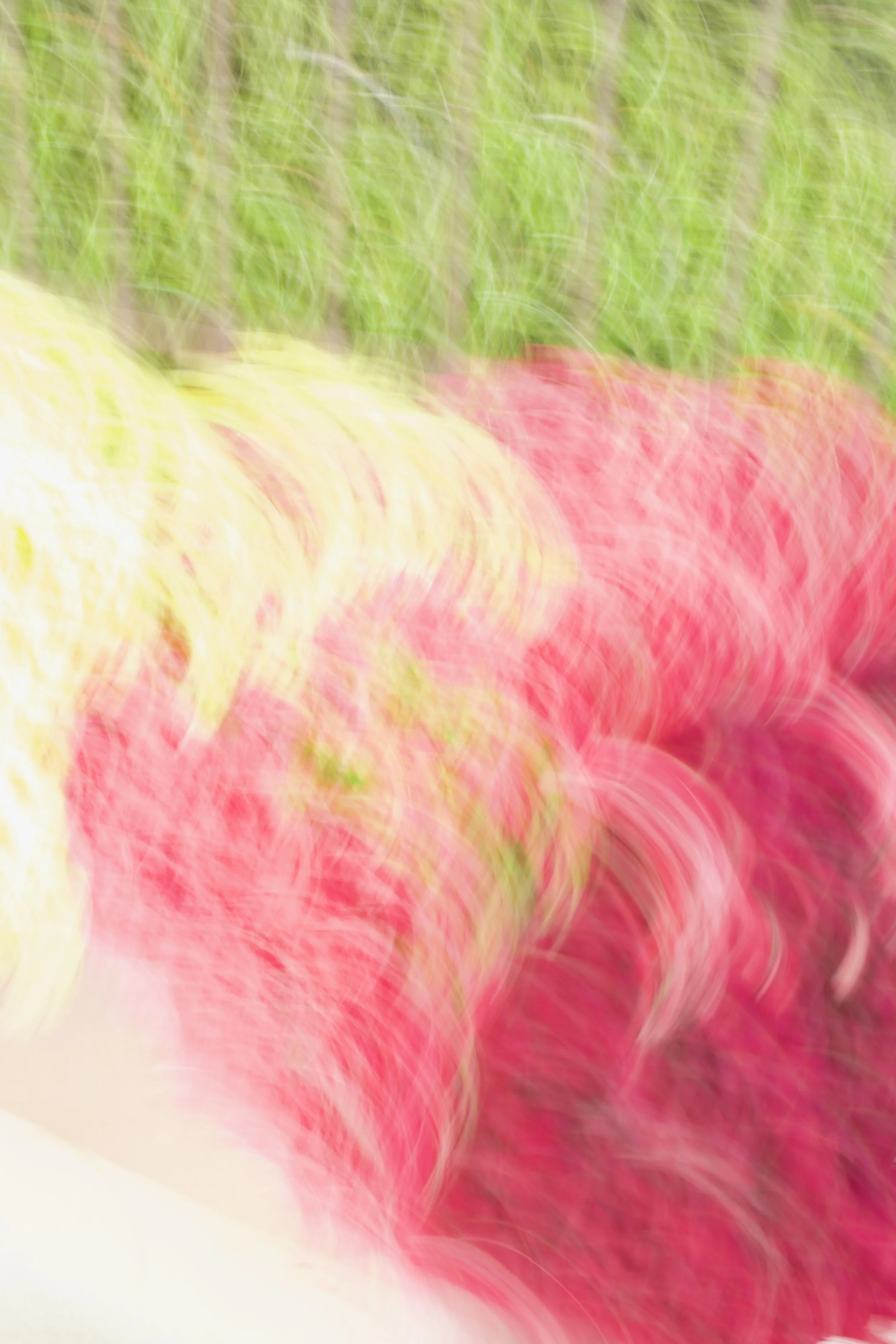  Movement 2023:73 (2023) C-print on wood panel, 60”x40” 