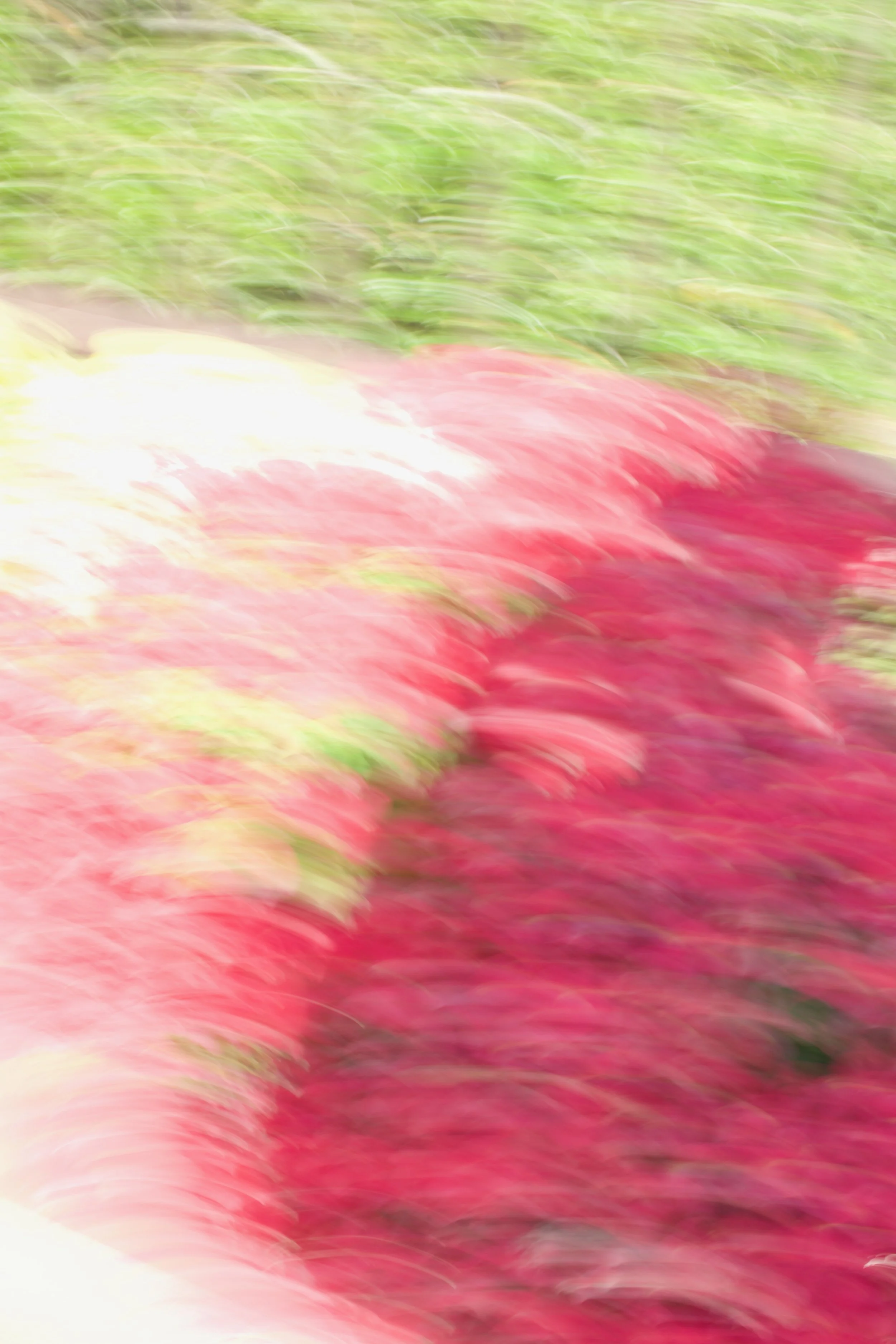  Movement 2023:74 (2023) C-print on wood panel, 60”x40” 