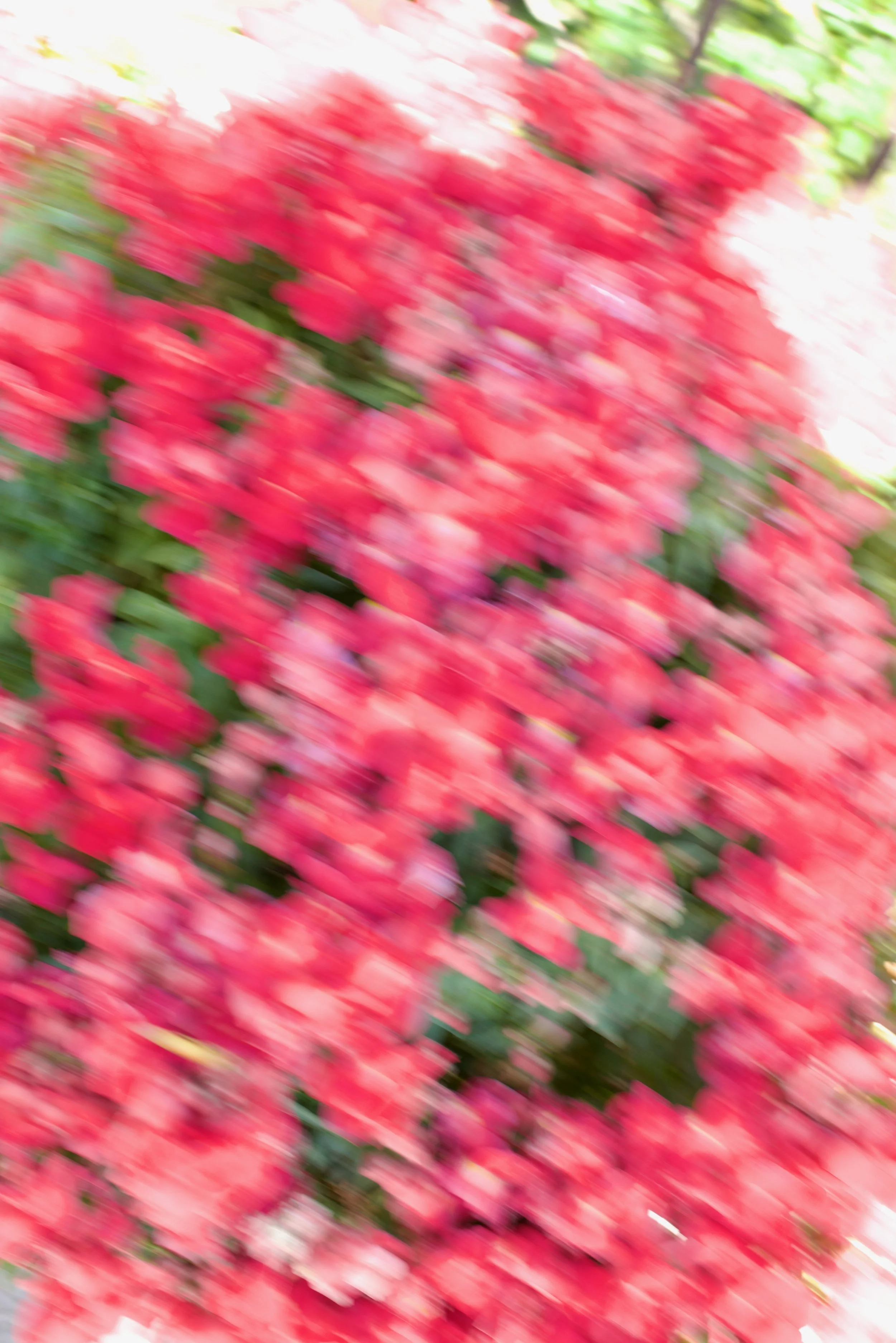  Movement 2023:75(2023) C-print on wood panel, 60”x40” 