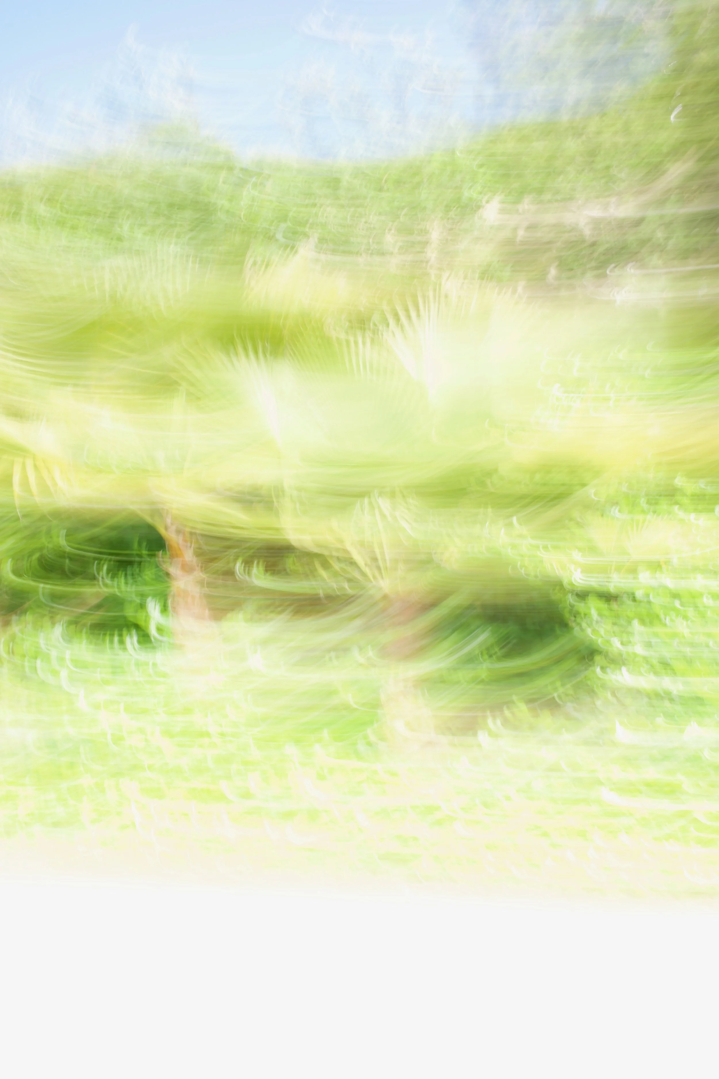  Movement 2023:86 (2023) C-print on wood panel, 60”x40” 