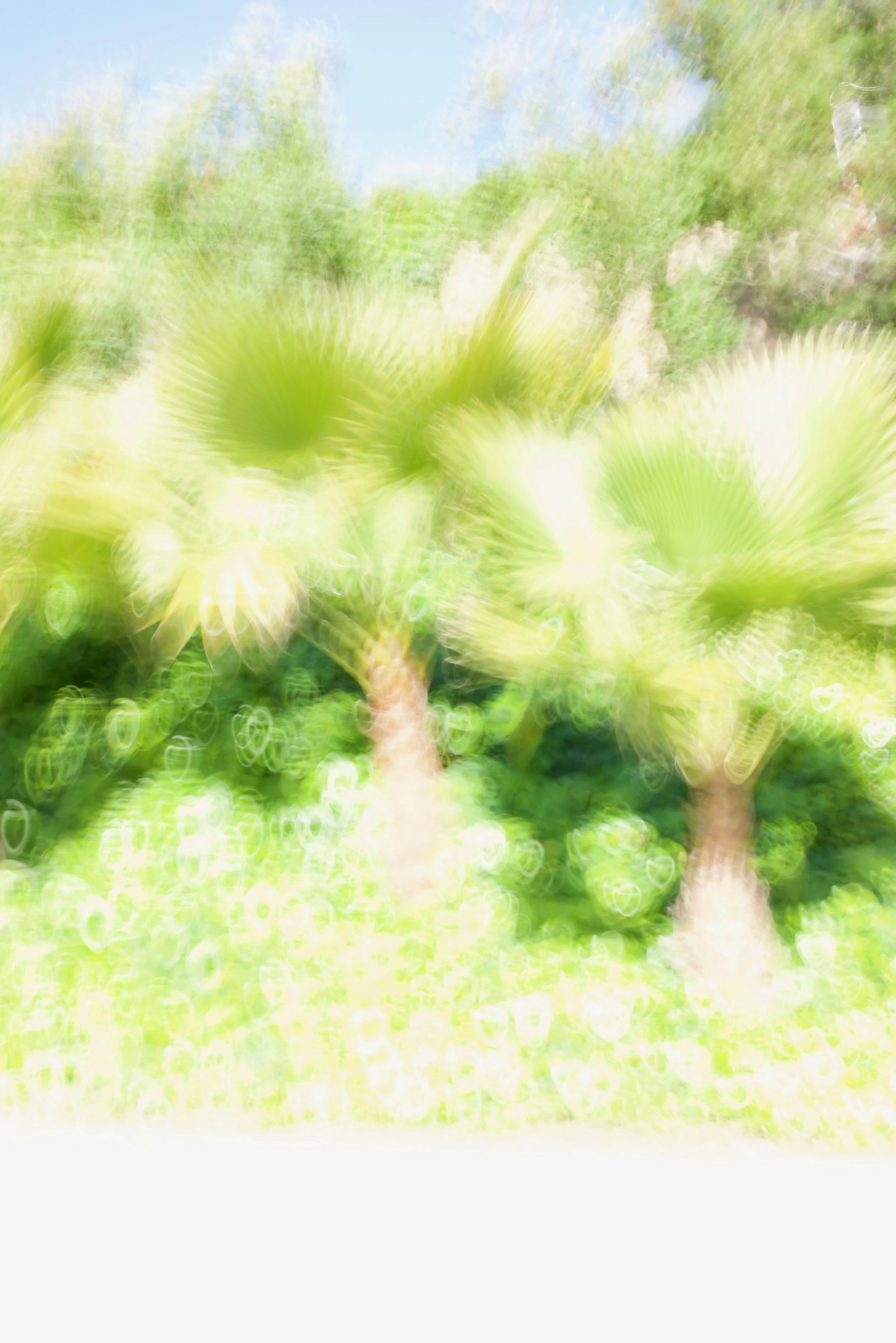  Movement 2023:87 (2023) C-print on wood panel, 60”x40” 