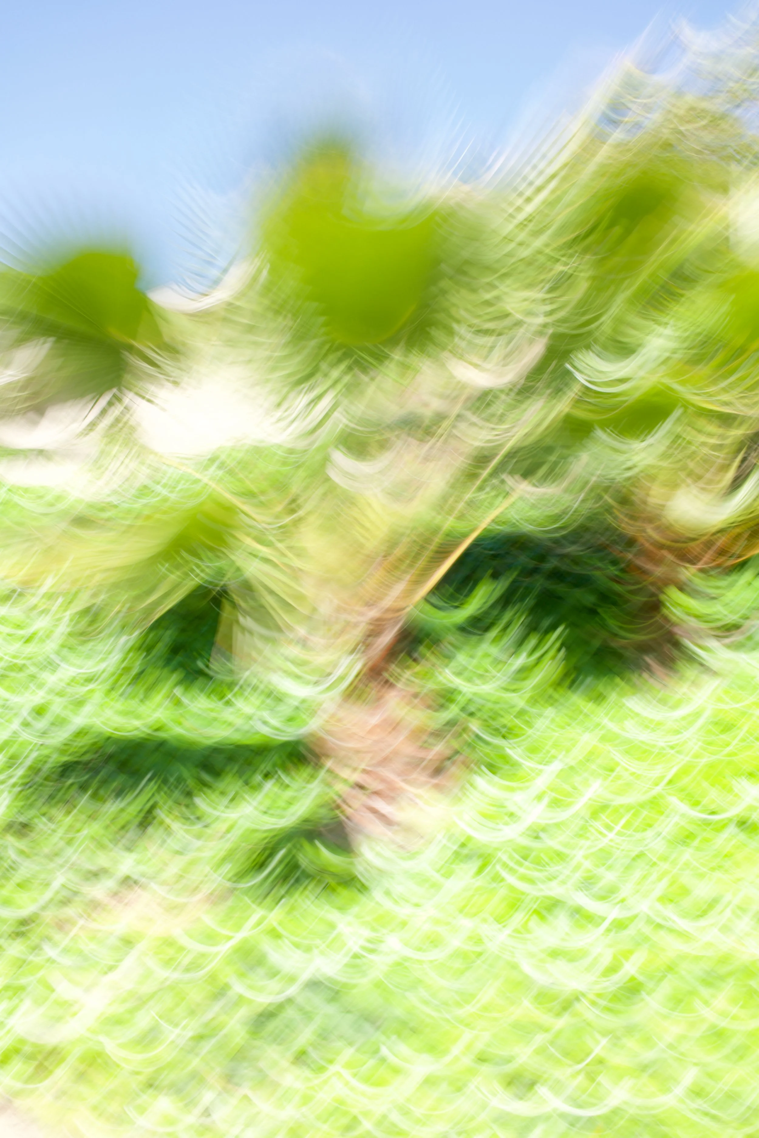  Movement 2023:88 (2023) C-print on wood panel, 60”x40” 