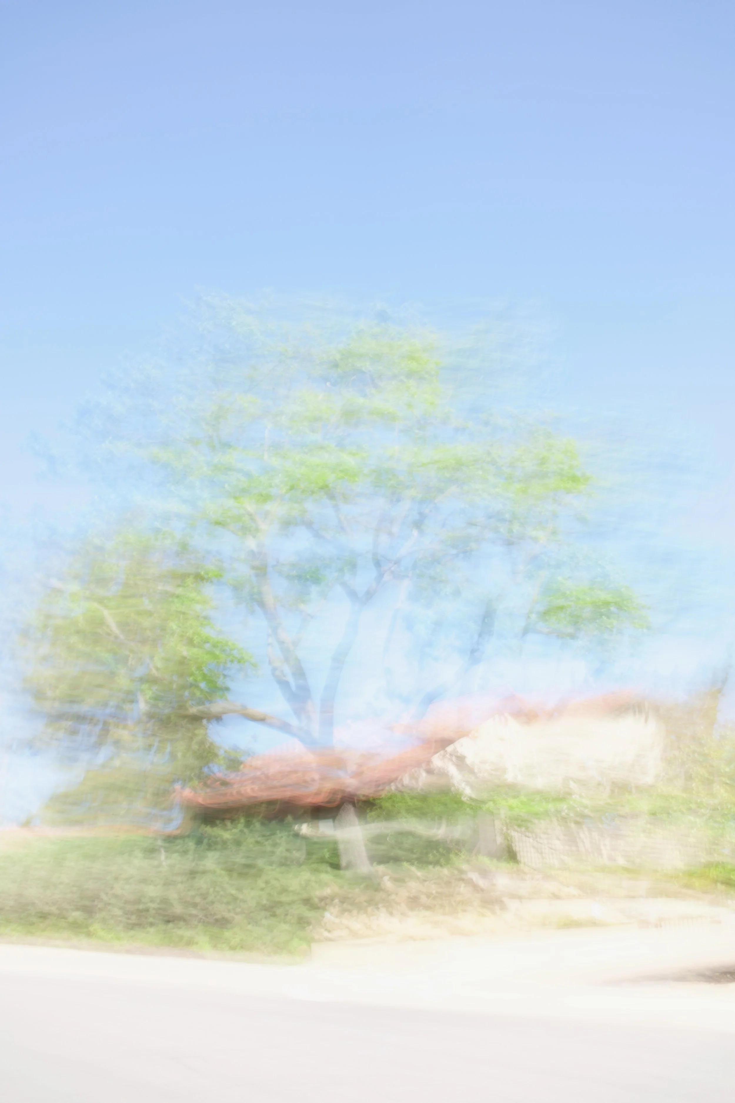  Movement 2023:89 (2023) C-print on wood panel, 60”x40” 