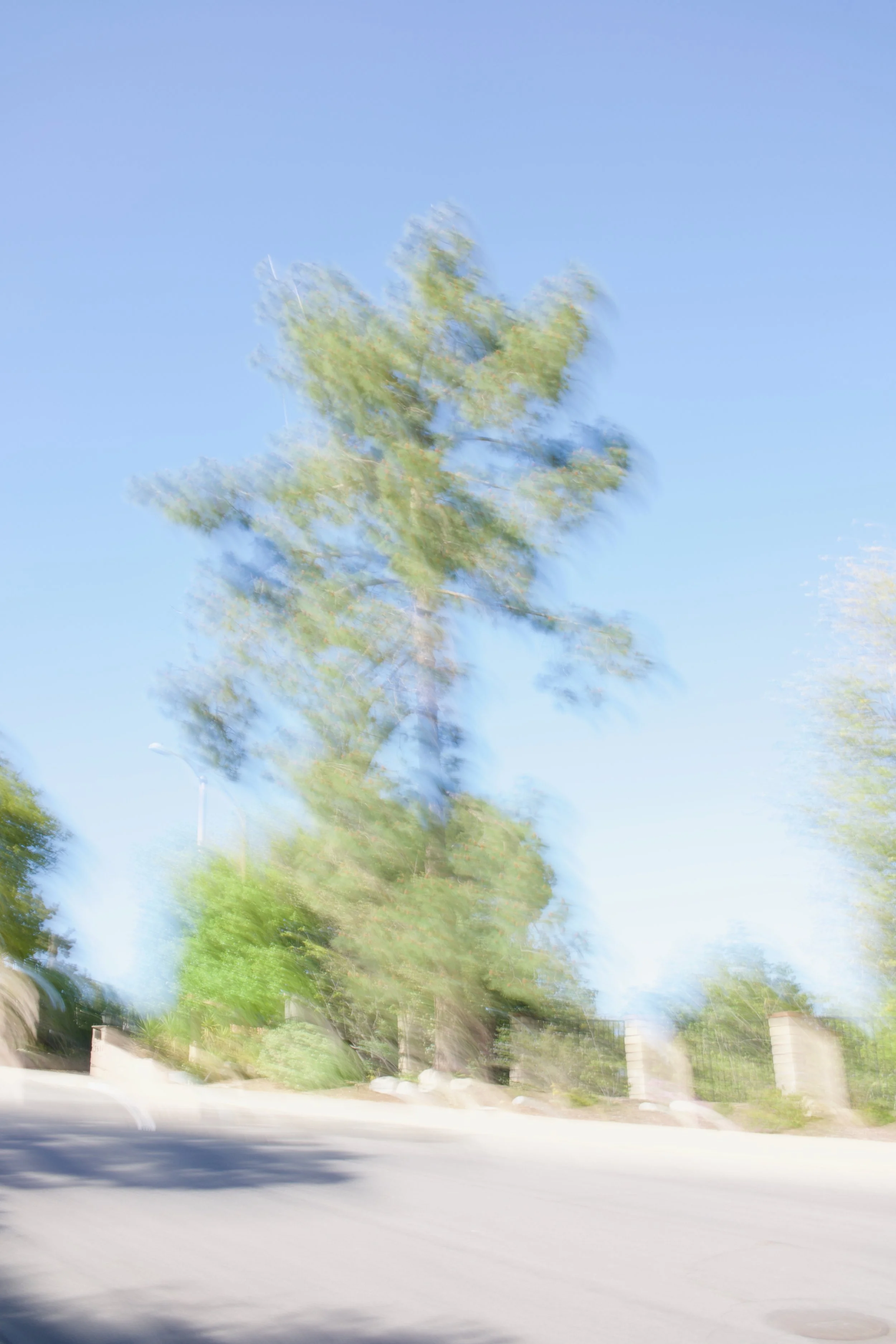  Movement 2023:90 (2023) C-print on wood panel, 60”x40” 