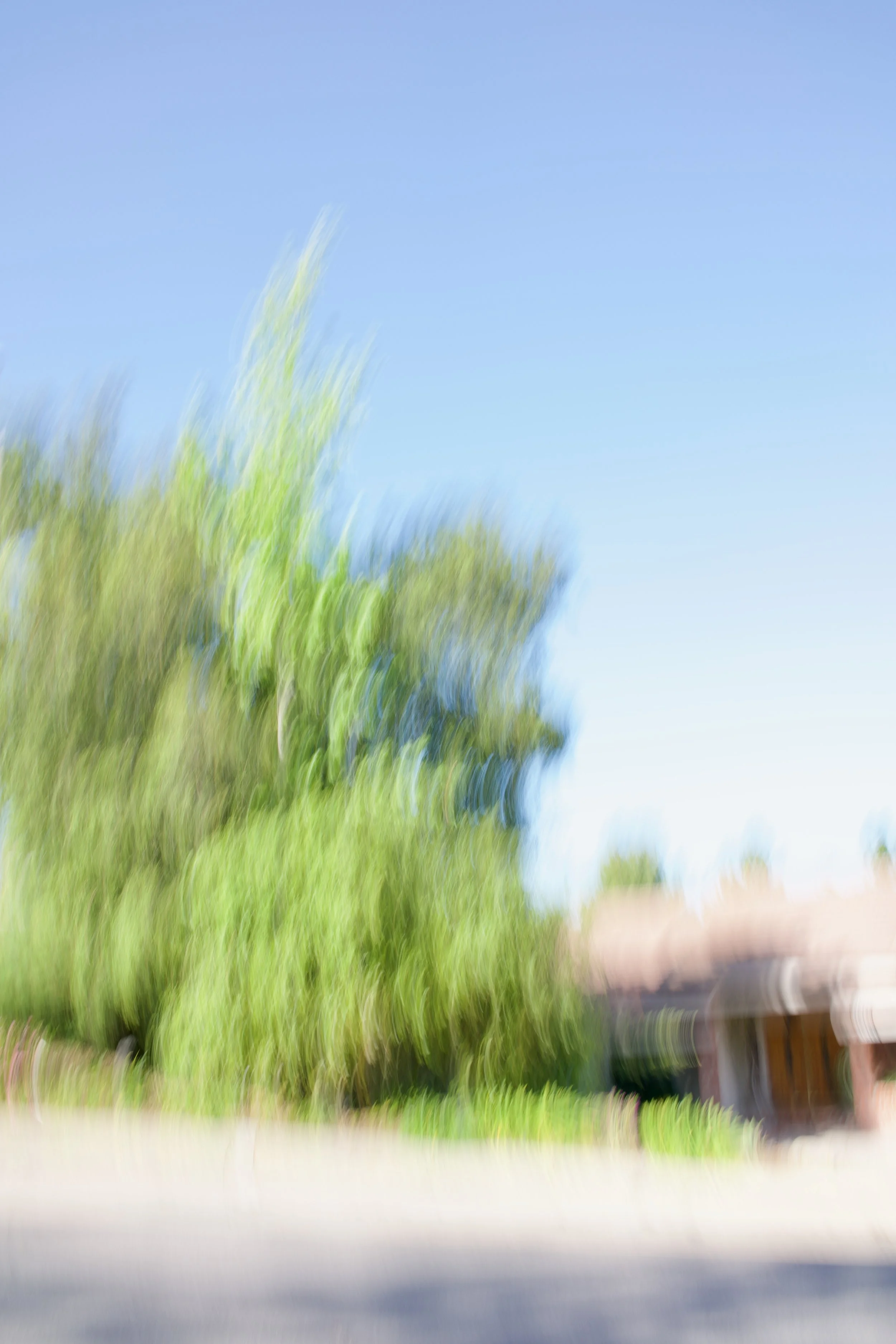  Movement 2023:94 (2023) C-print on wood panel, 60”x40” 